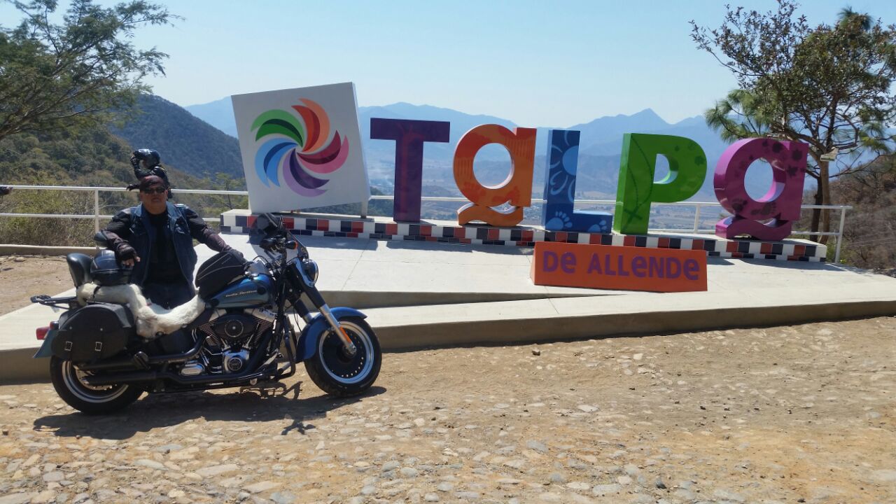 Talpa