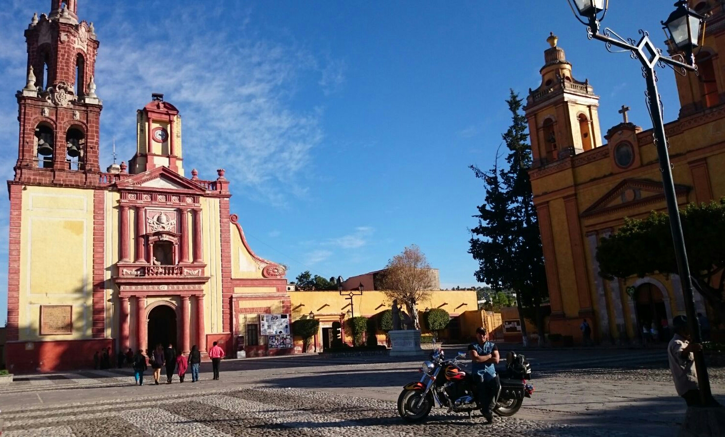 COLECCIONISTA DE CACTACEAS, CASONAS Y TEMPLOS