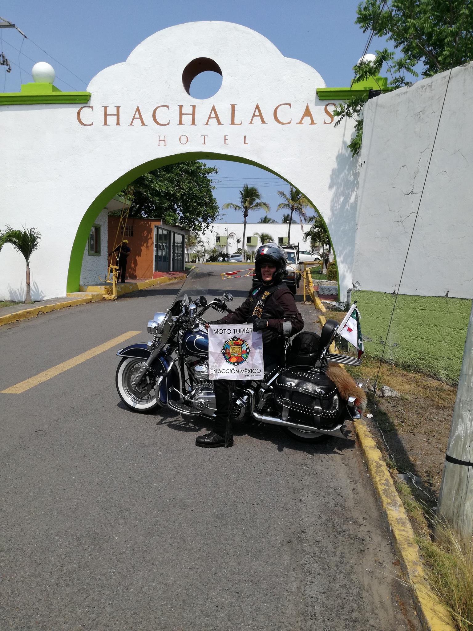 Chachalacas