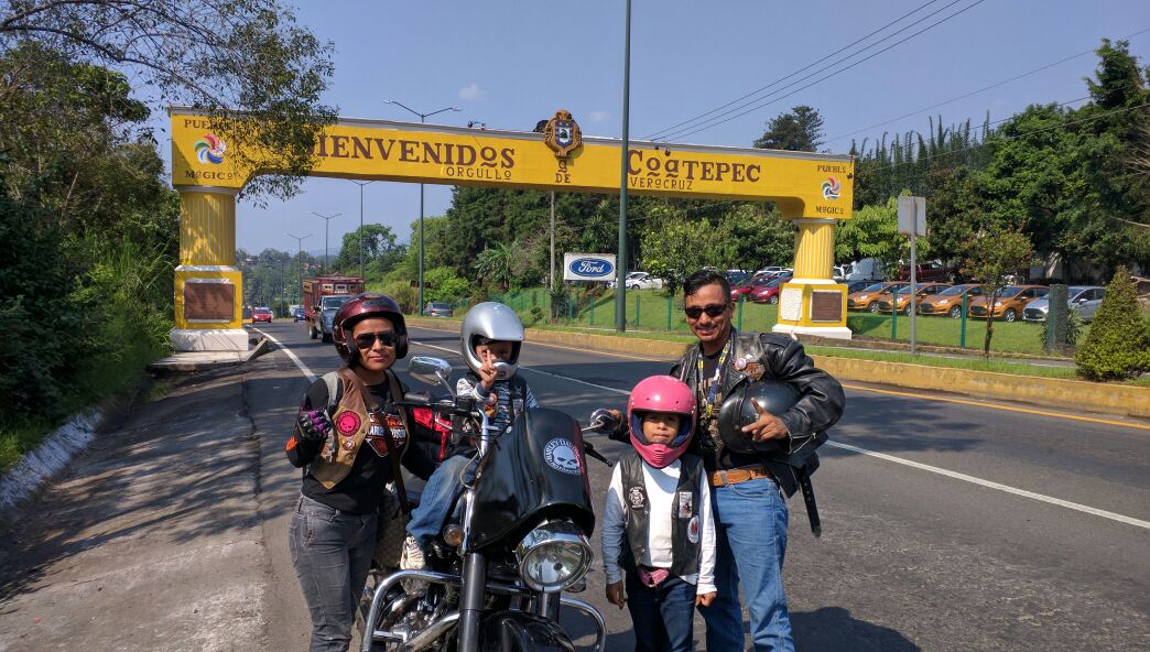 manada de lobos solitarios