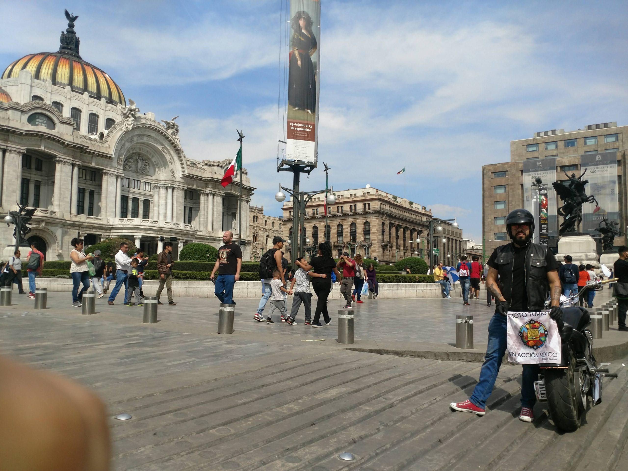 Nación Hogs, bellas artes