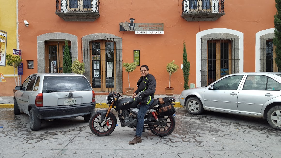 Lugar de árboles formados