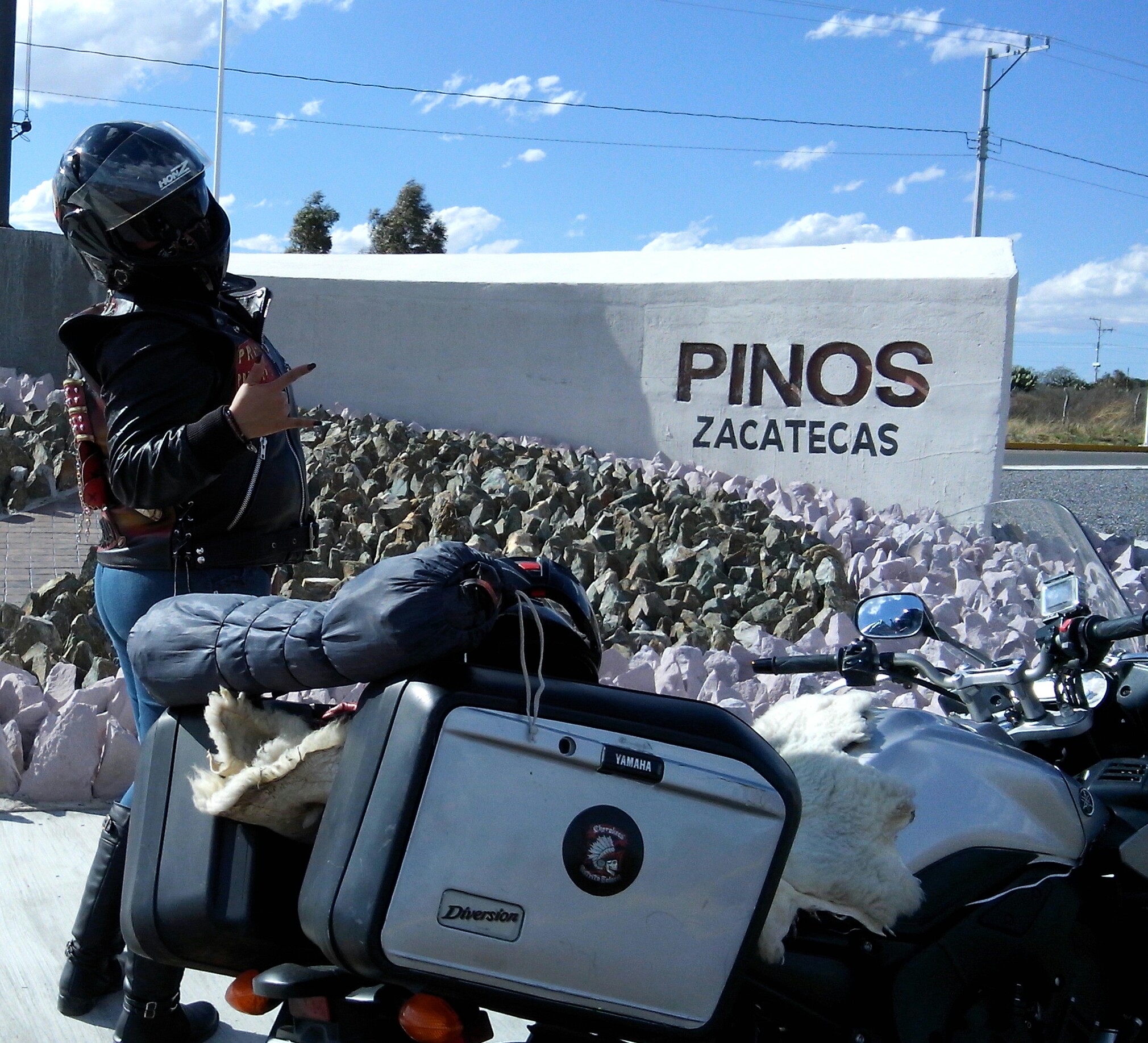 pinos