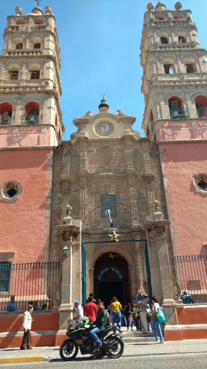 Salva Tierra Guanajuato