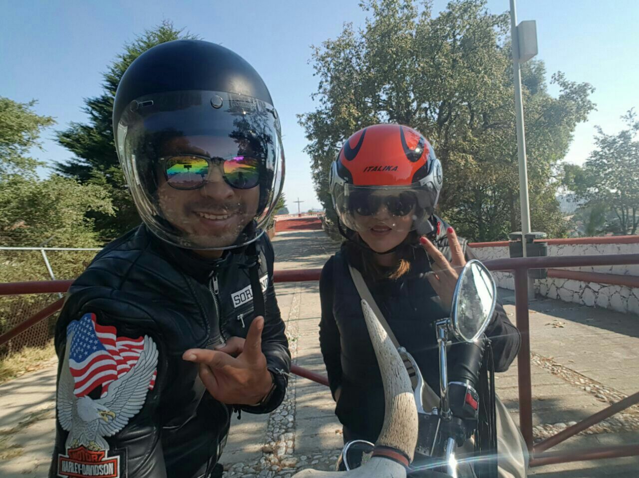 Hermoso lugar aroma a pinos