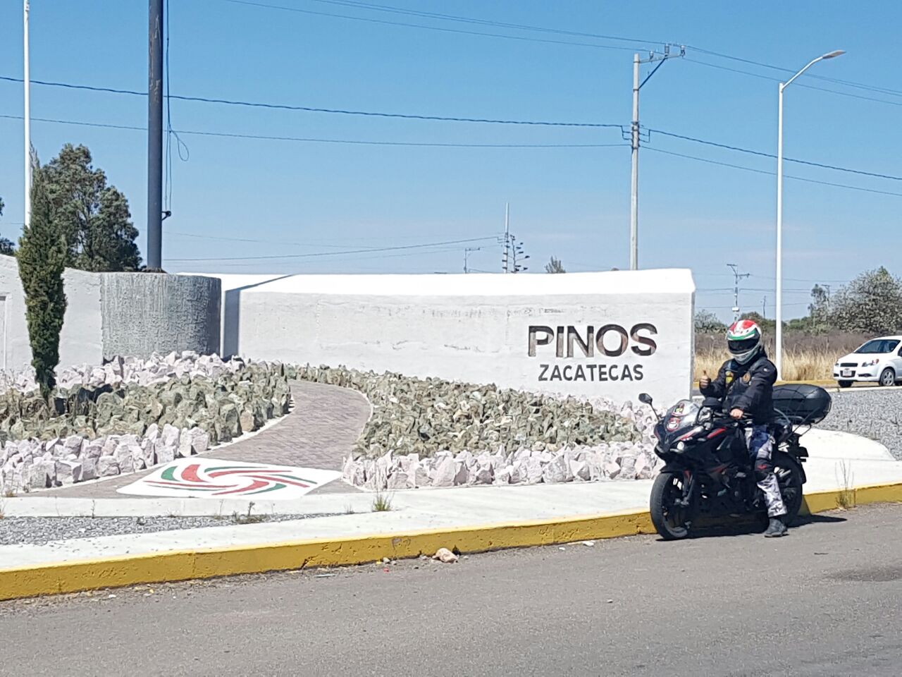 Pinos