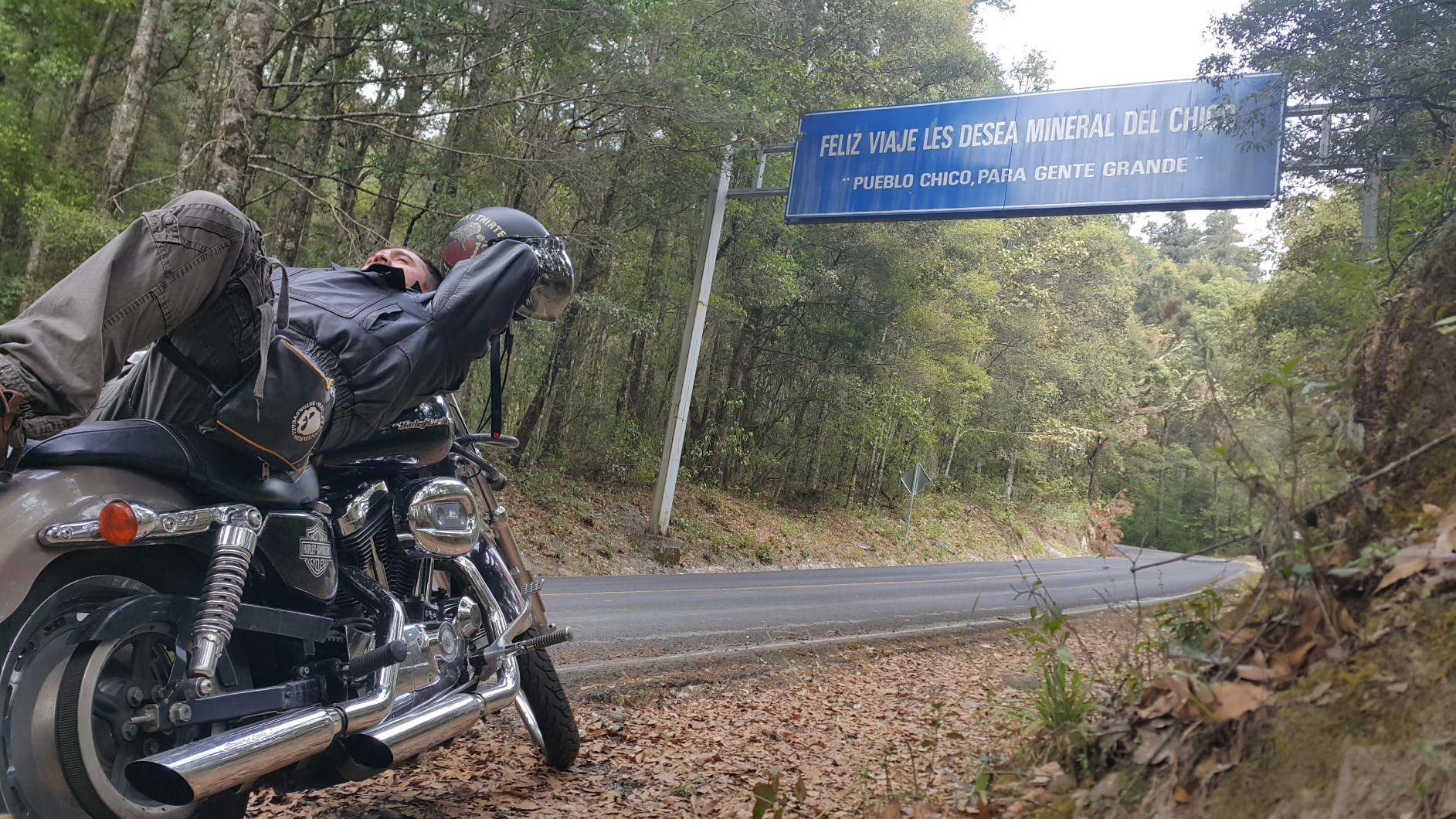 Descansando en el chico