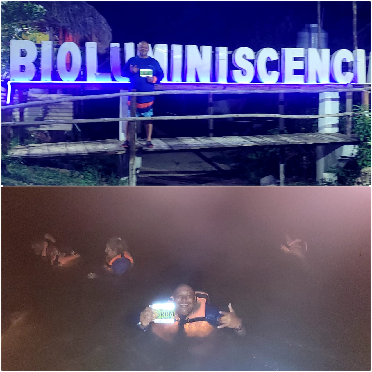 BIOLUMINISCENCIA