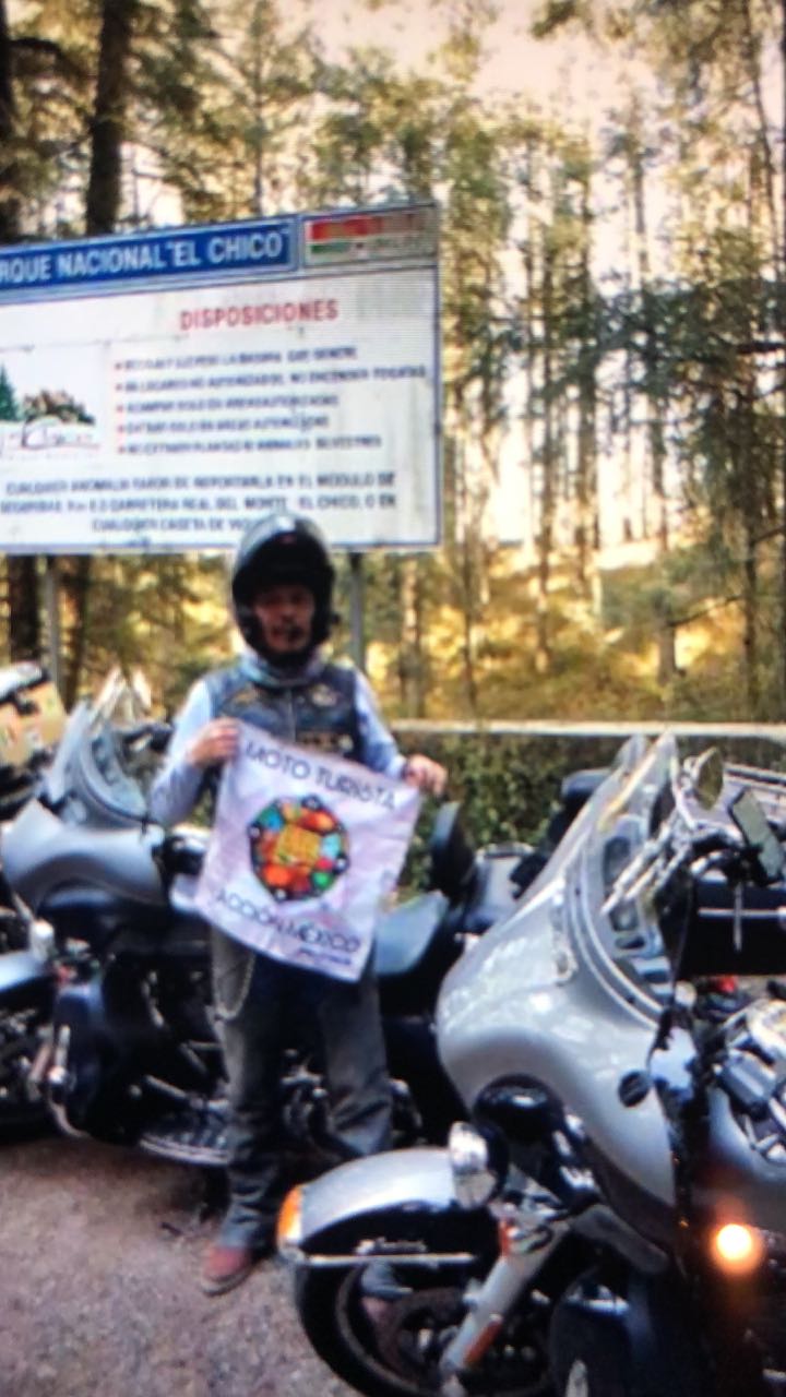 El bosque de hidalgo