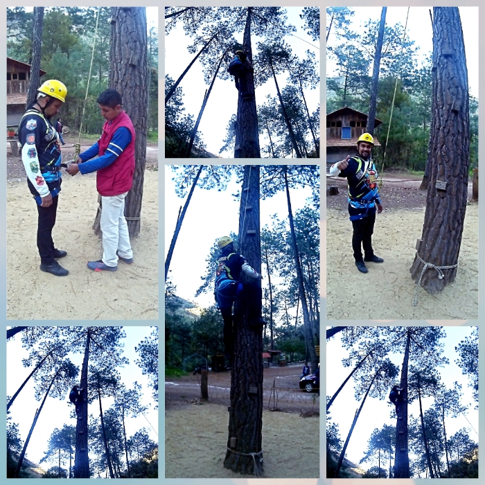 escalada de arbol