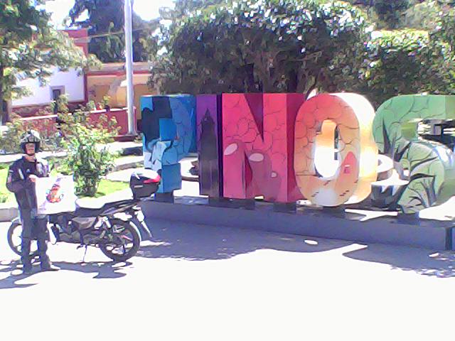 PINOS