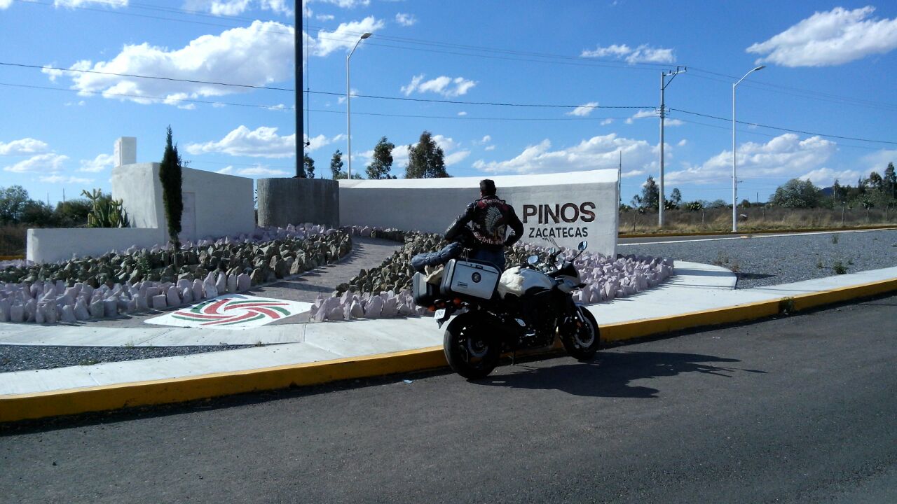 PINOS ZACATECAS