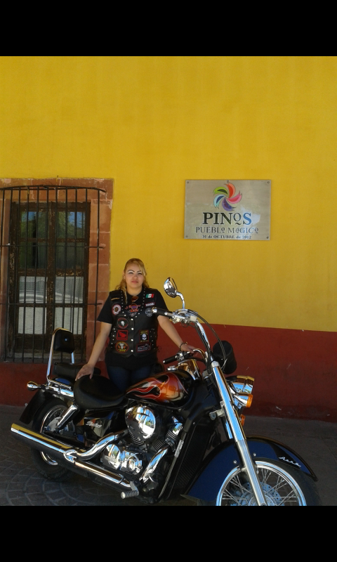pinos zacatecas