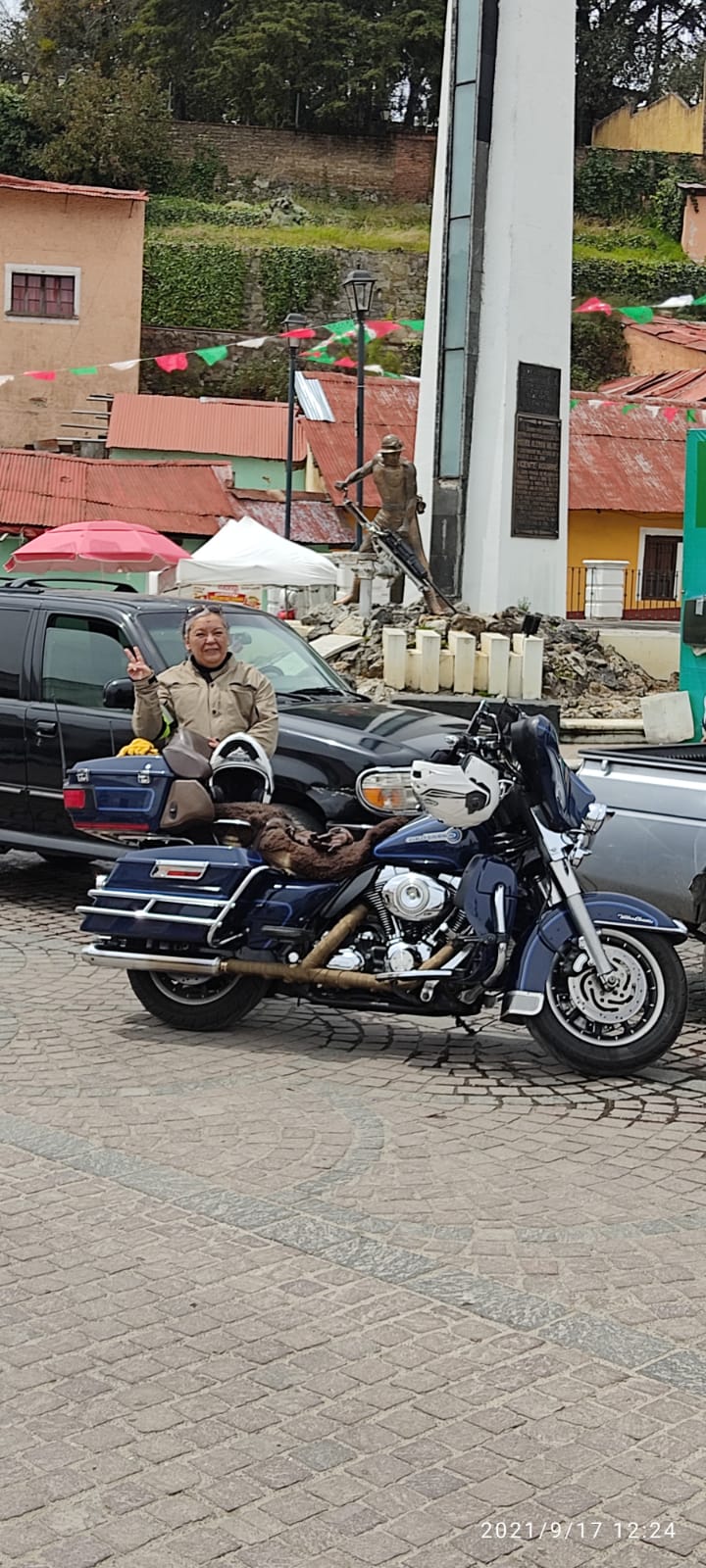 41 REAL DE MONTE HIDALGO MONSE