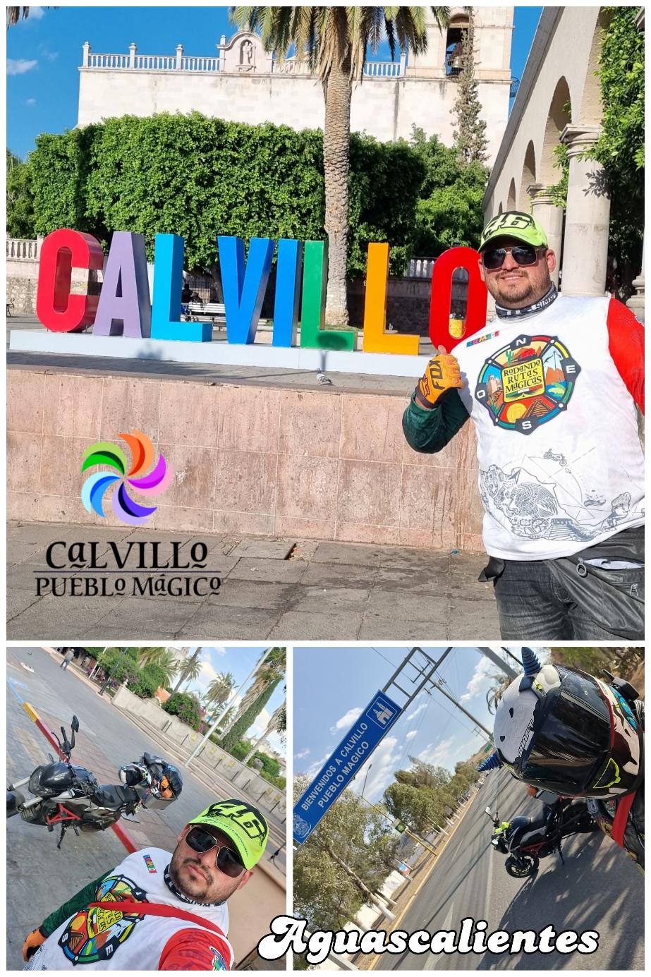 Calvillo