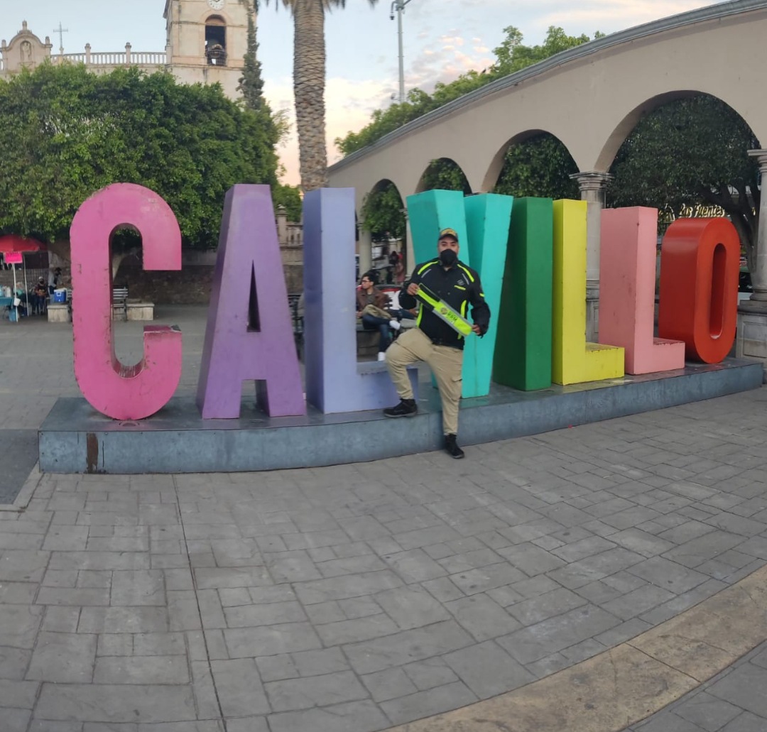 Calvillo