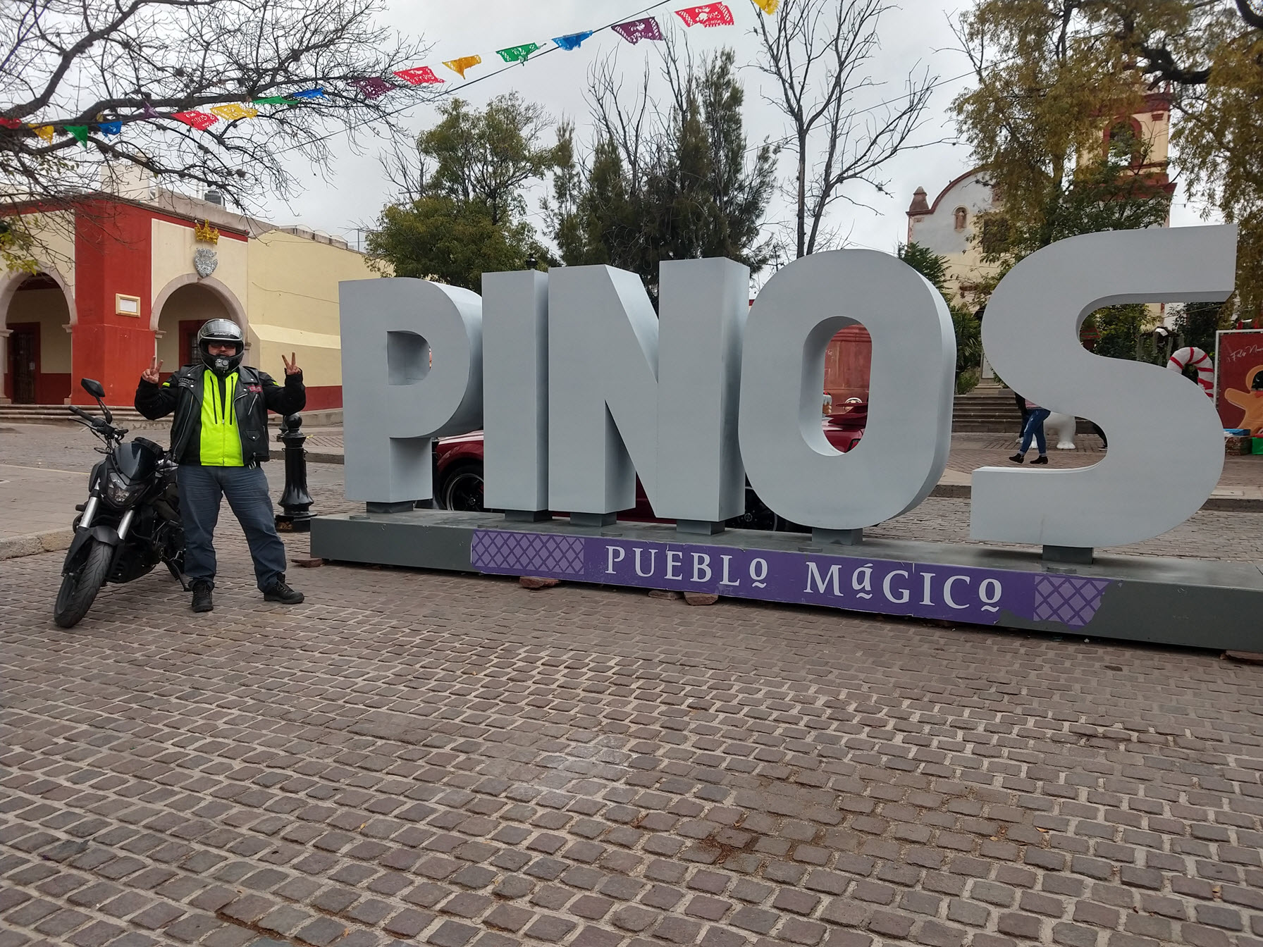 PM 109 Pinos