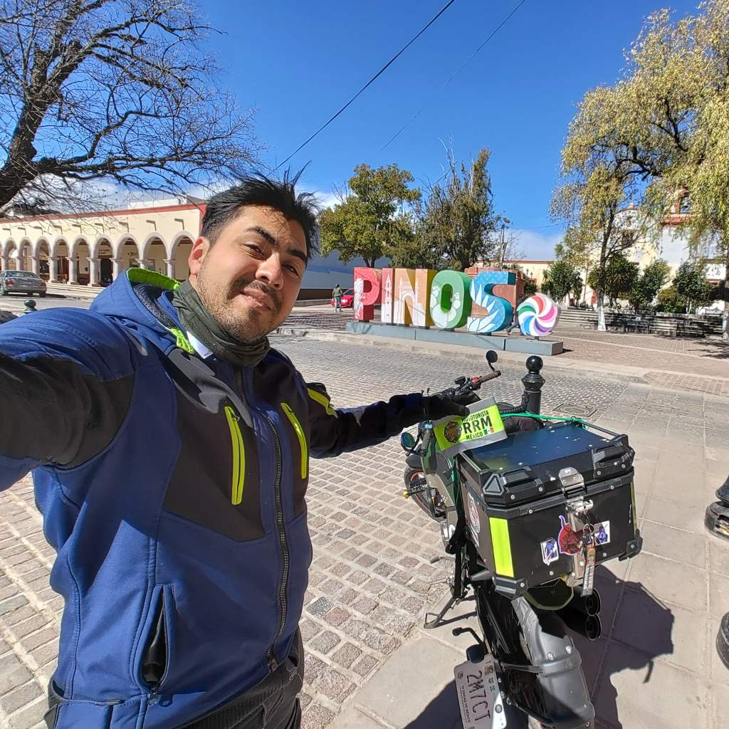 Pinos Zacatecas