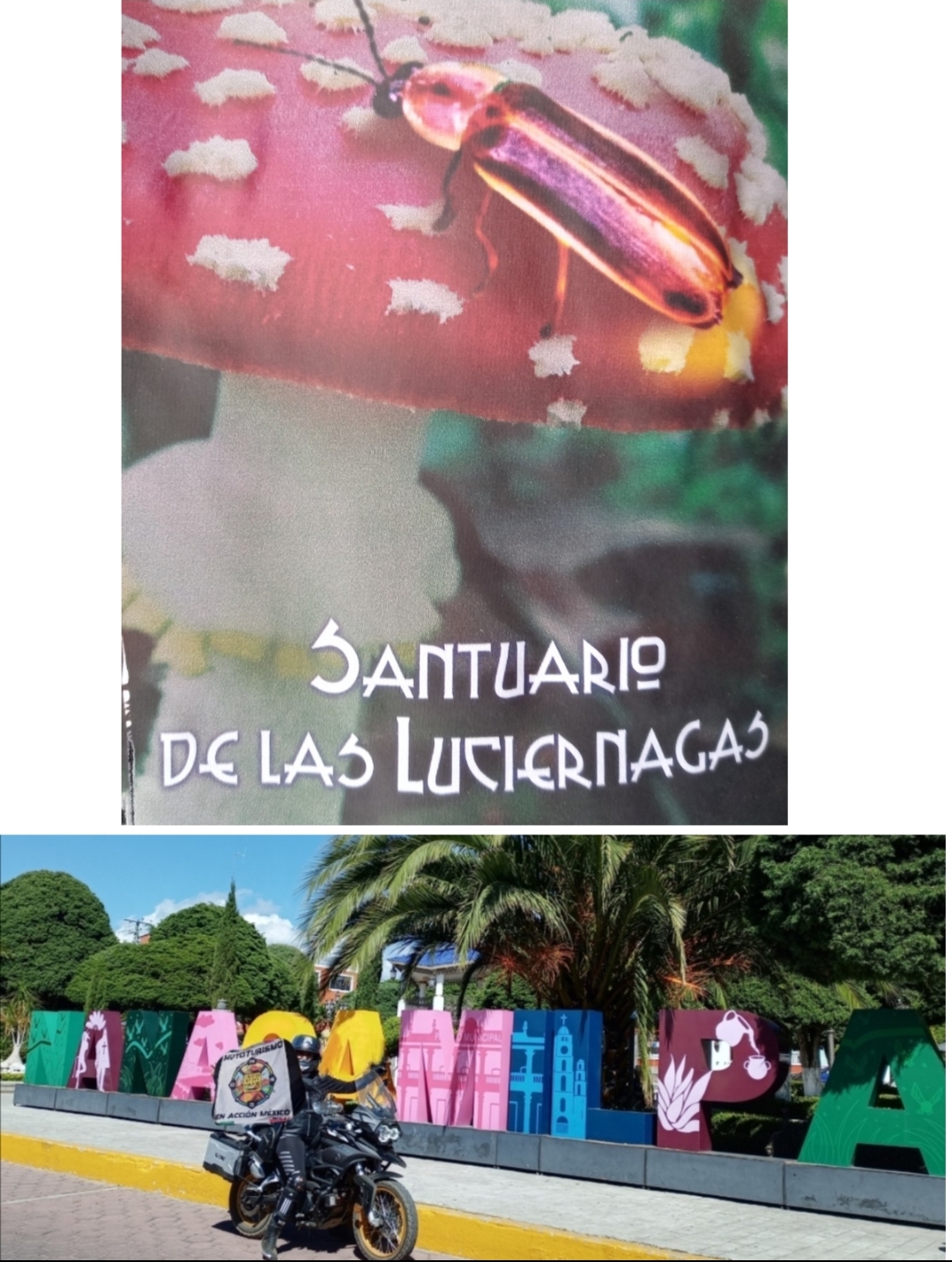 Santuario de las luciérnagas