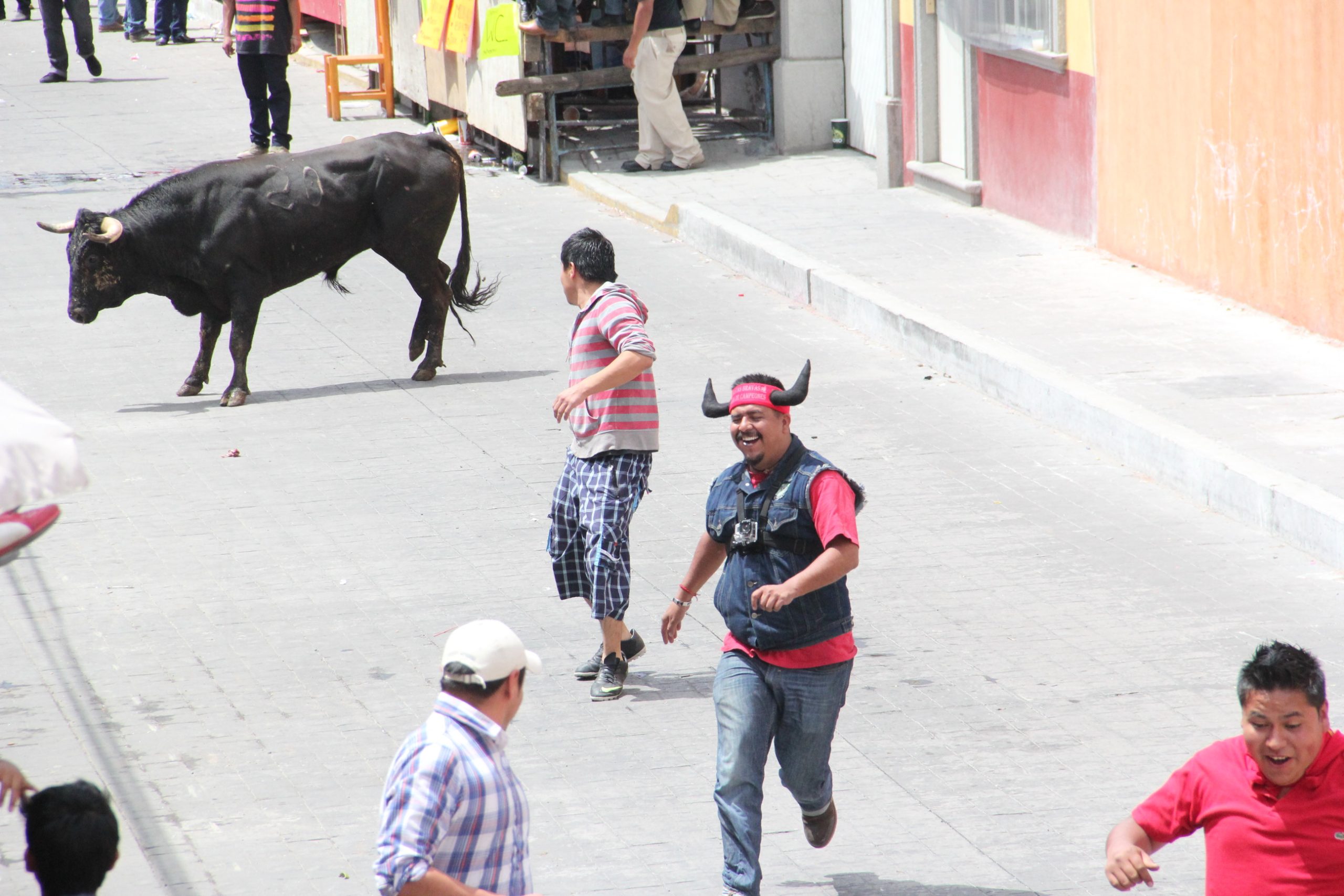 al toro por los cuernos