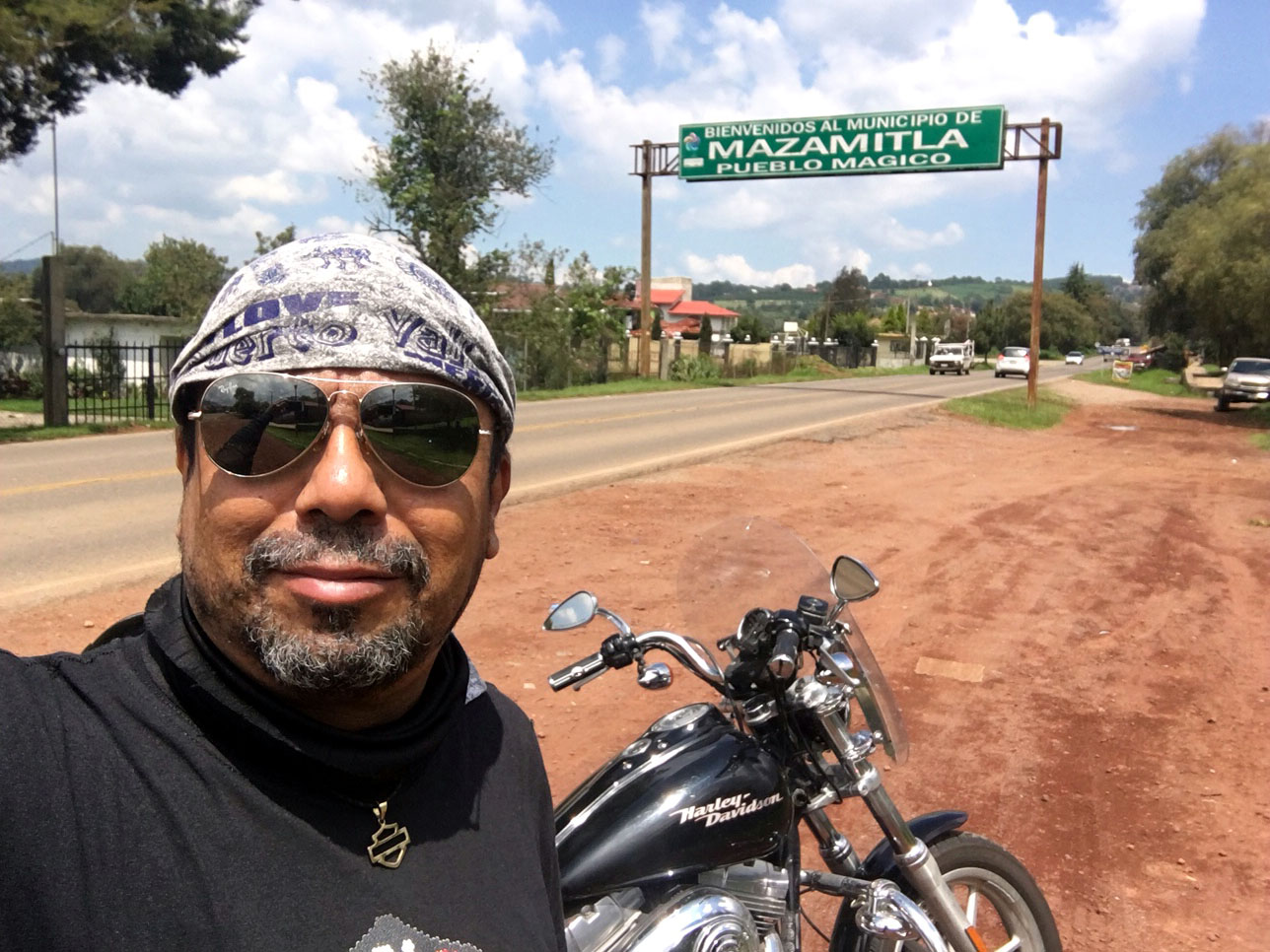 Con olor a Coníferas