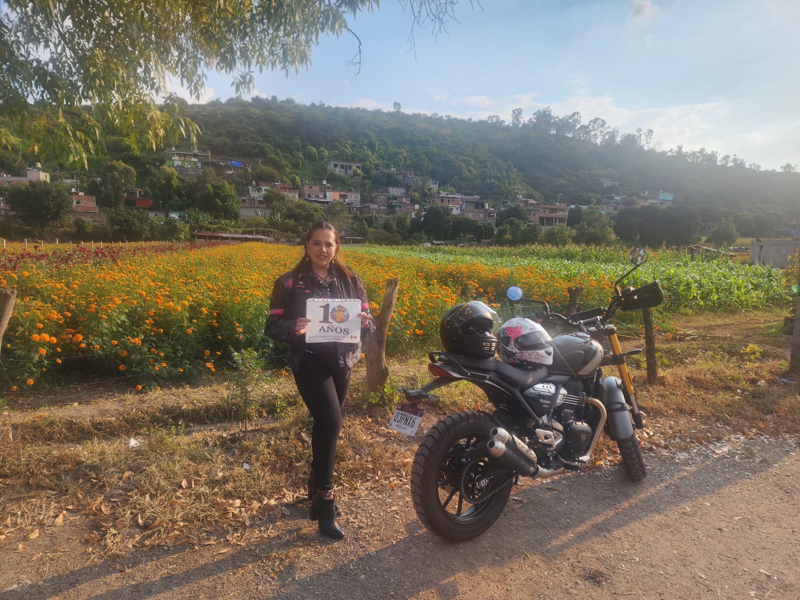 16. Carretera entre campos de cultivo