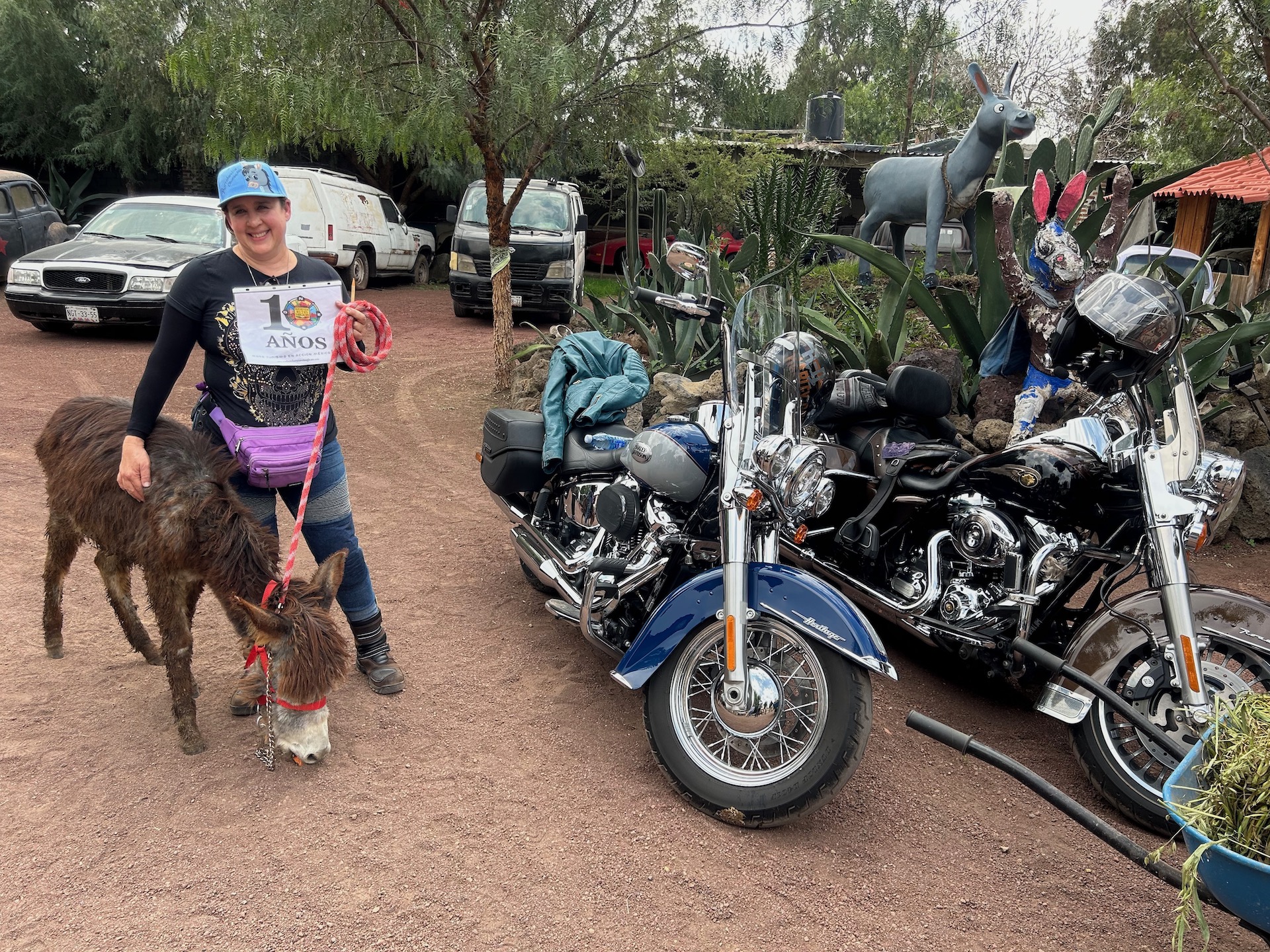 Apoyando a Burrlandia con Kyani