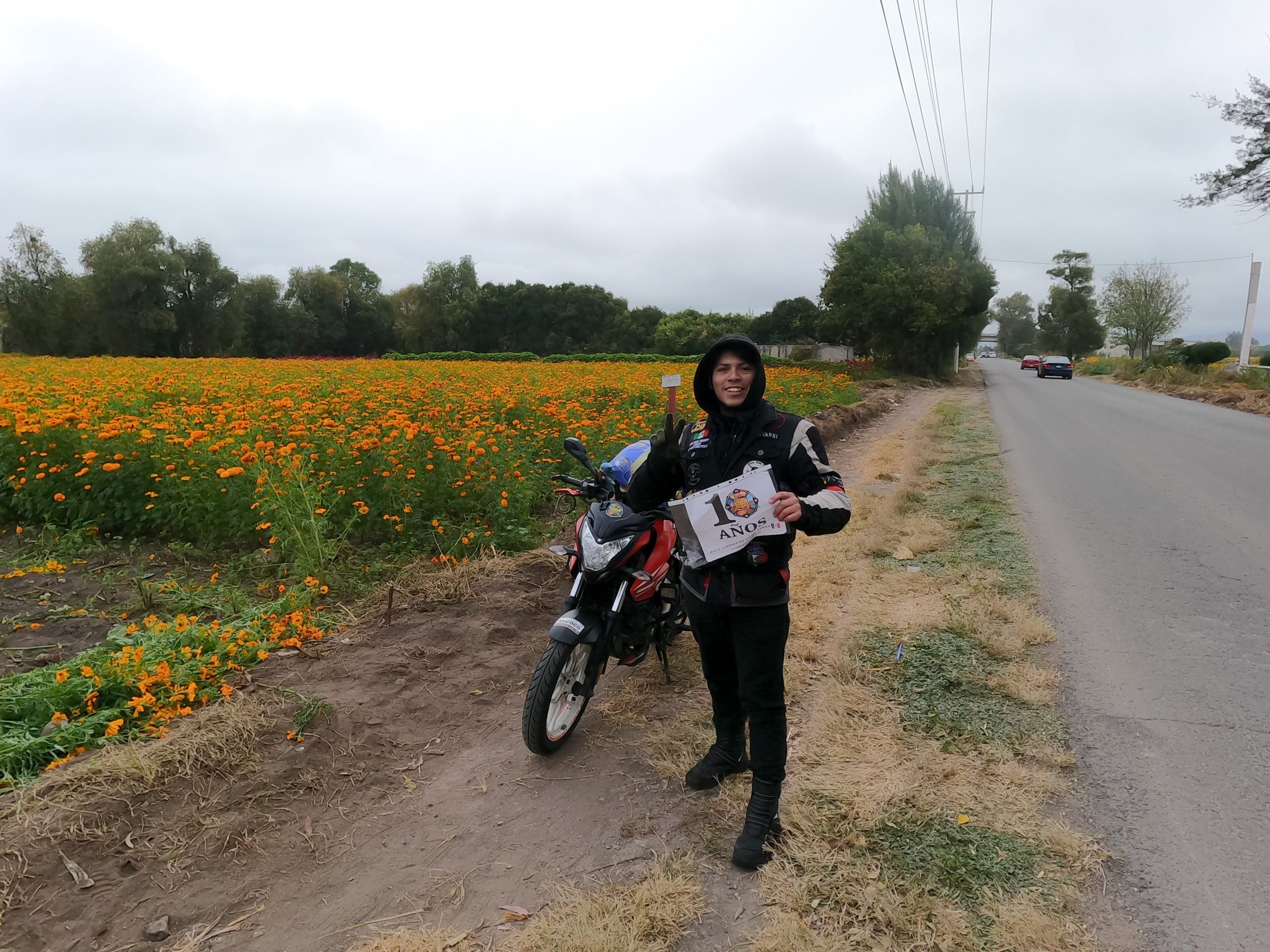 Sembradío de Flor de Cempasúchil a pie de carretera