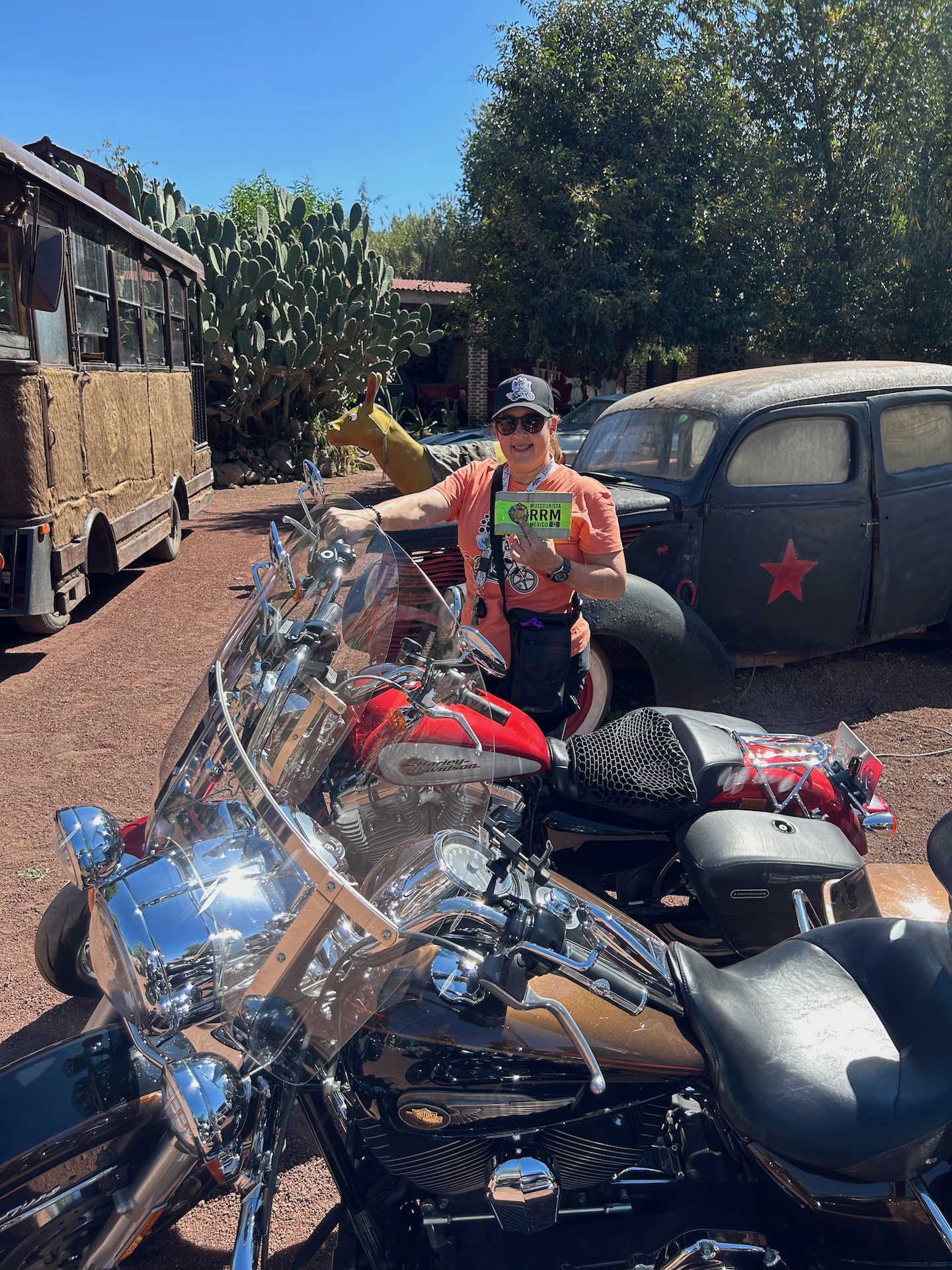 Visita AiM a Burrolandia