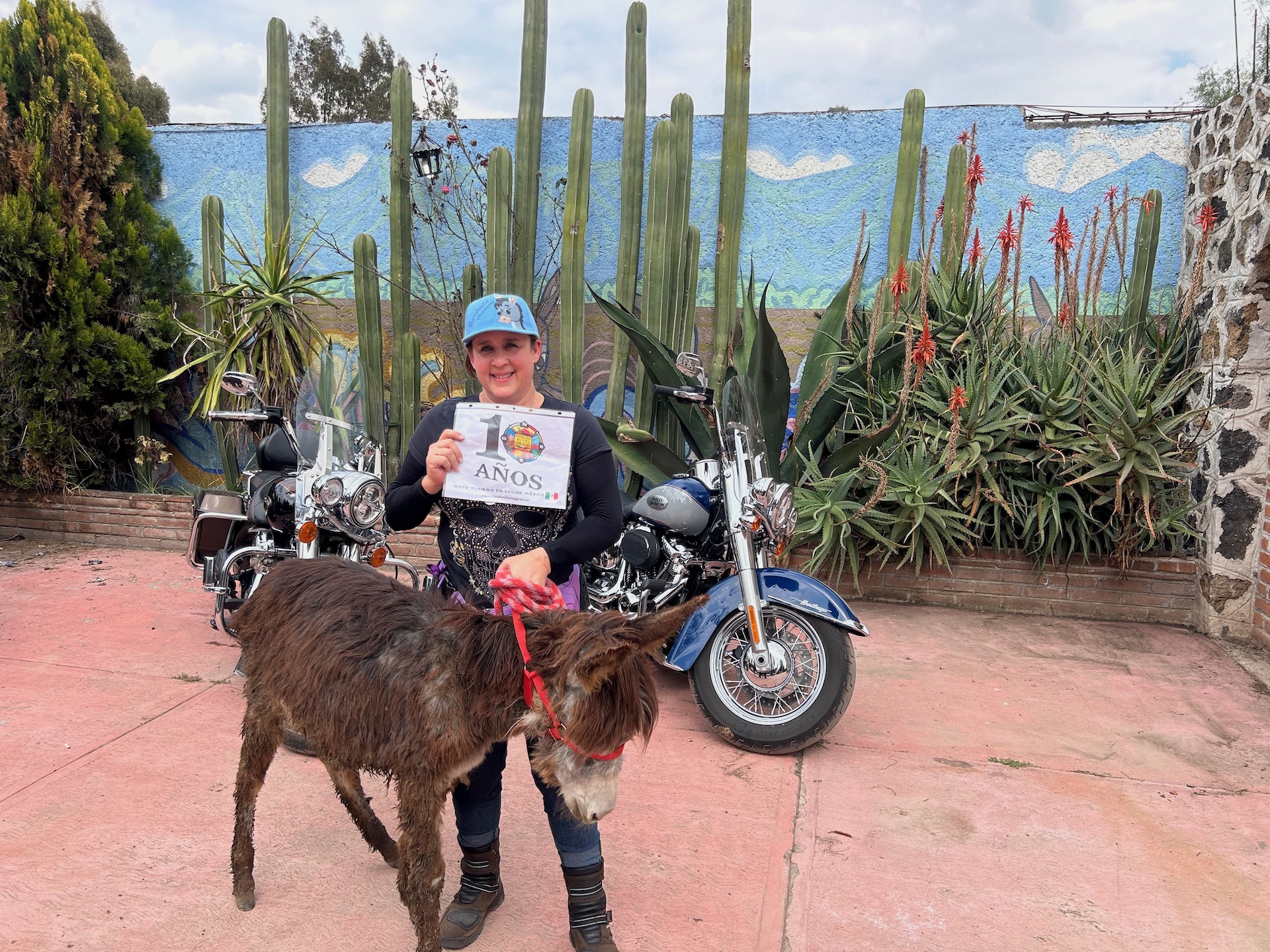 Mural en Burrolandia