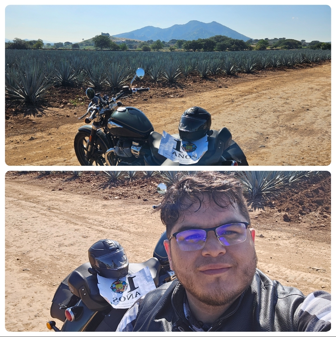 Carretera entre cultivos