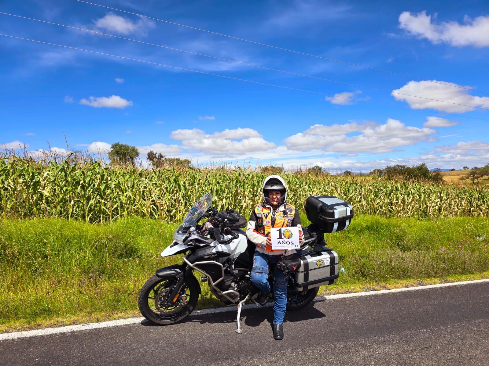 Carretera en campos y cultivo