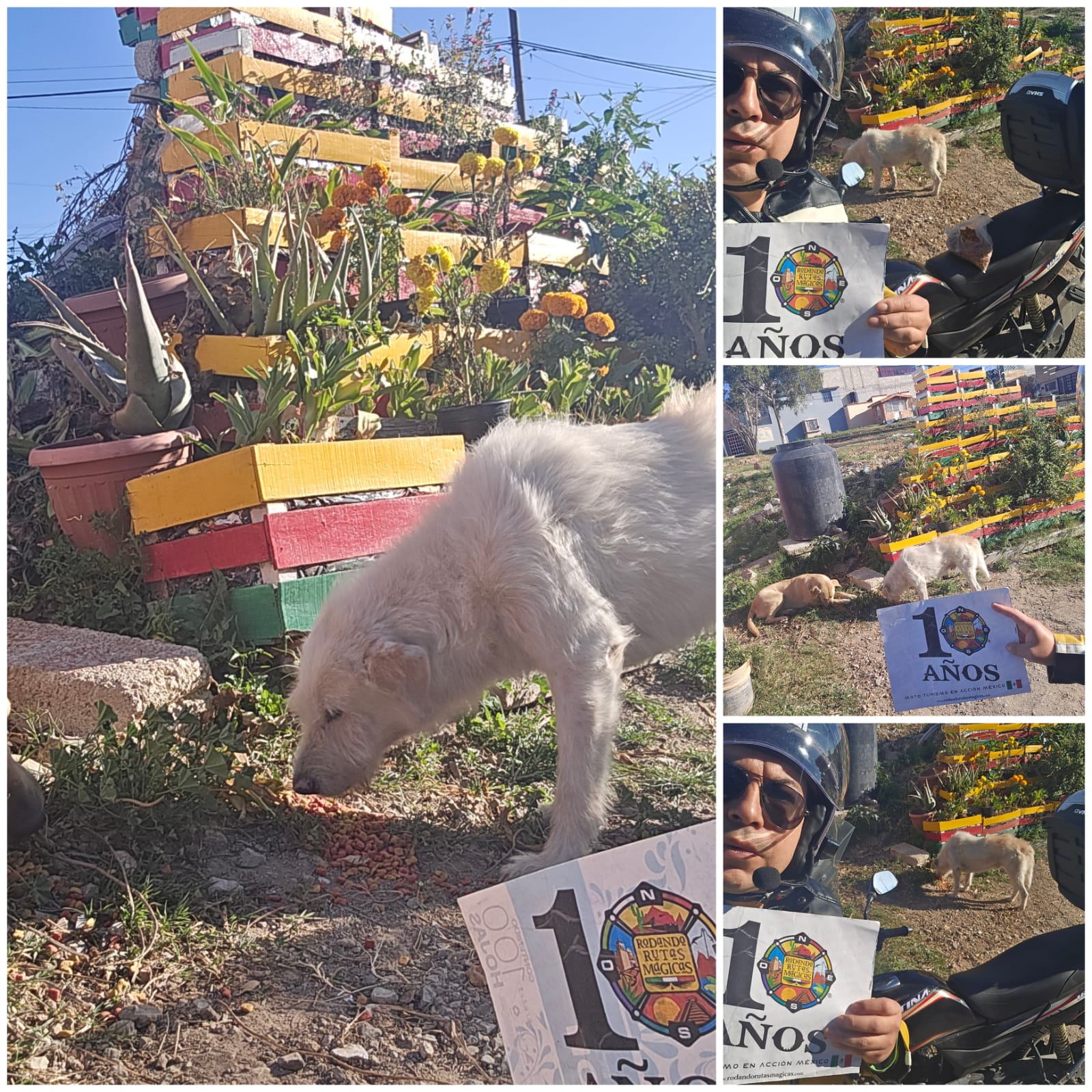 Ayudando a Los Callejeritos