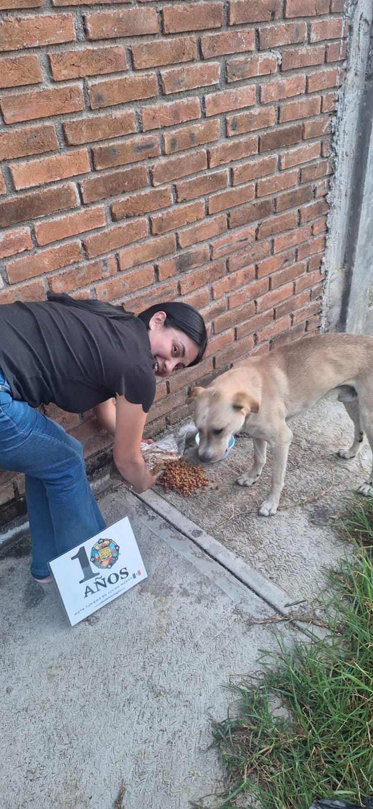 Ellos también merecen comer