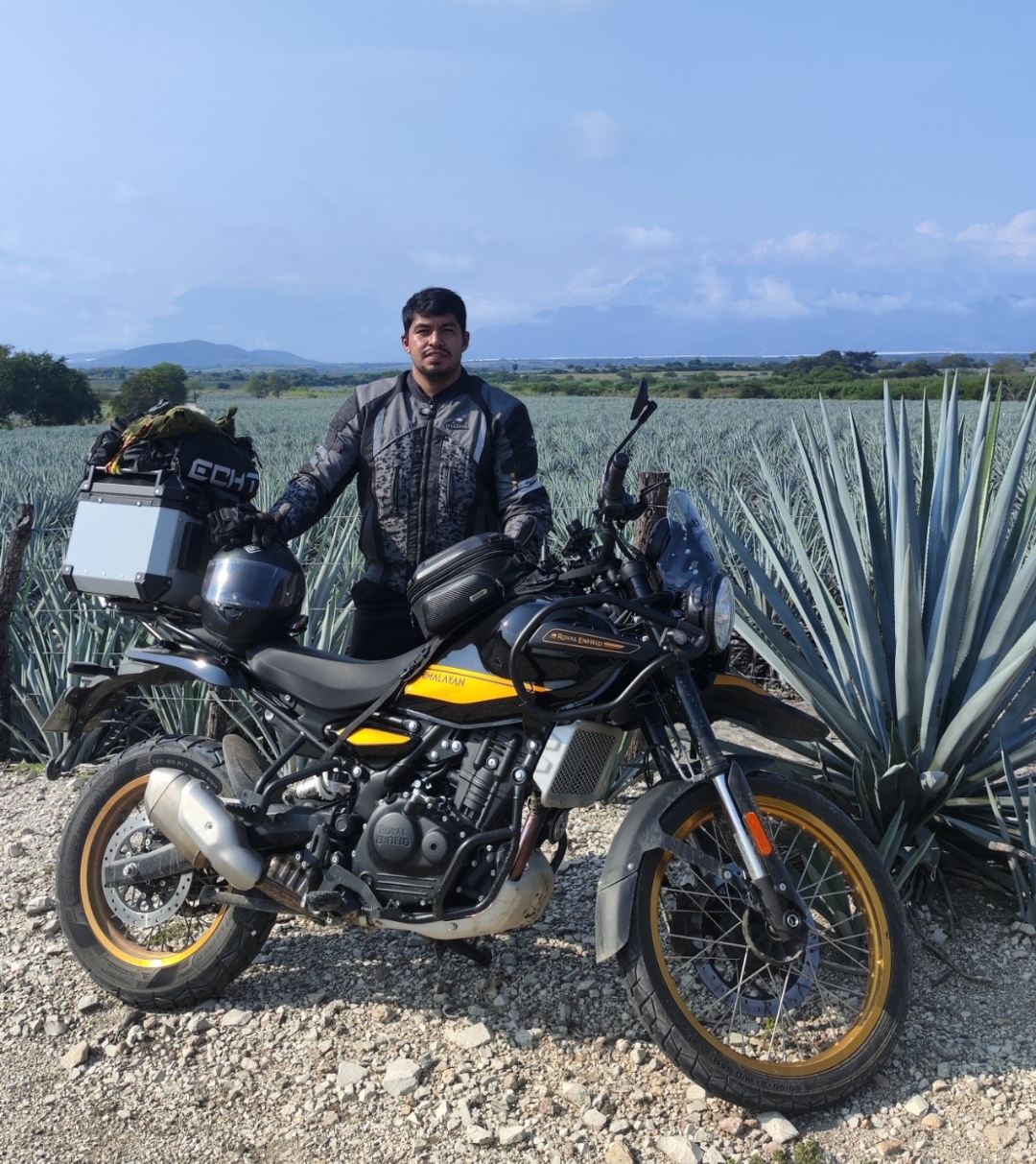 Campos de agave, Tequila, Jalisco.