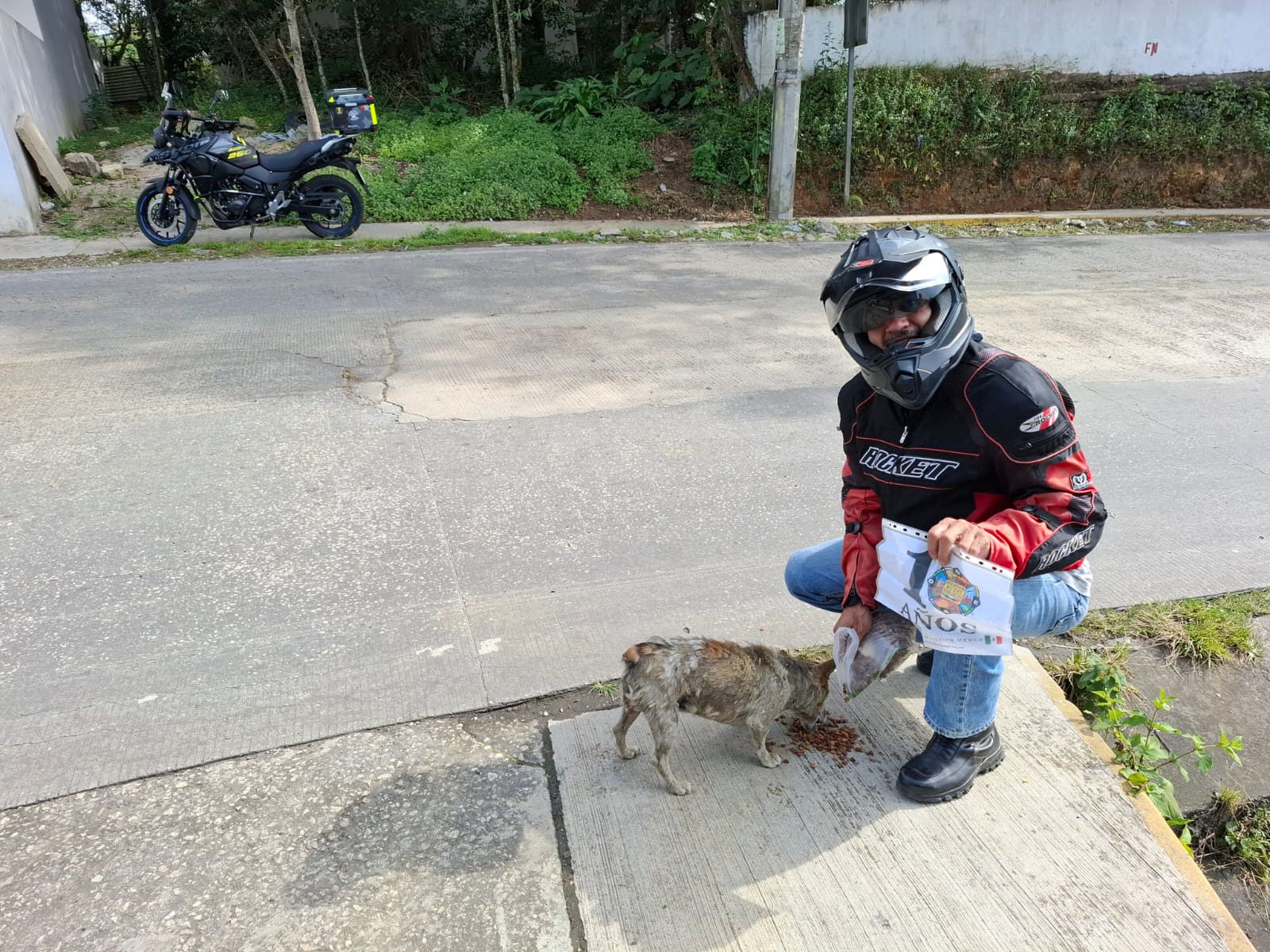 Alimentando a un viejito perruno