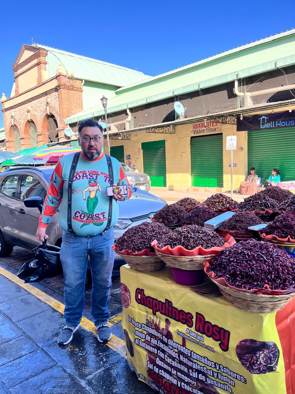 CHAPULINES