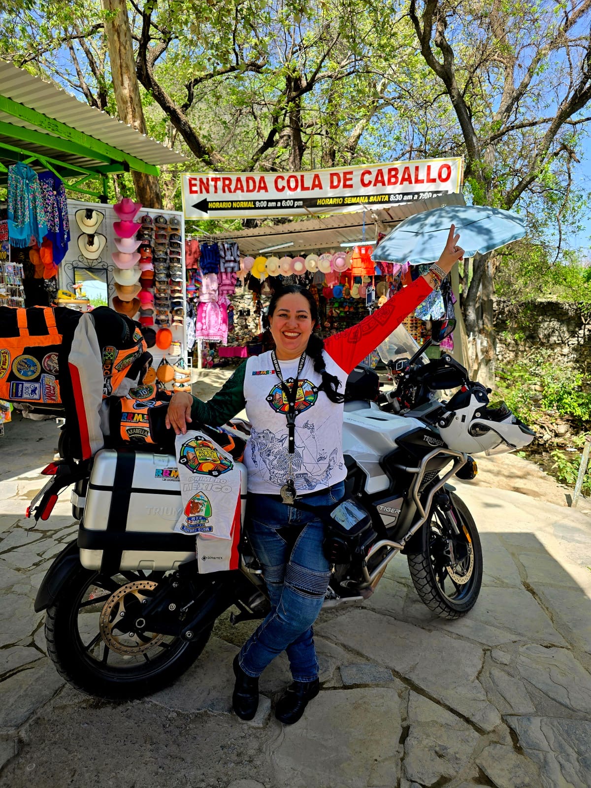 Reto azul cola de caballo