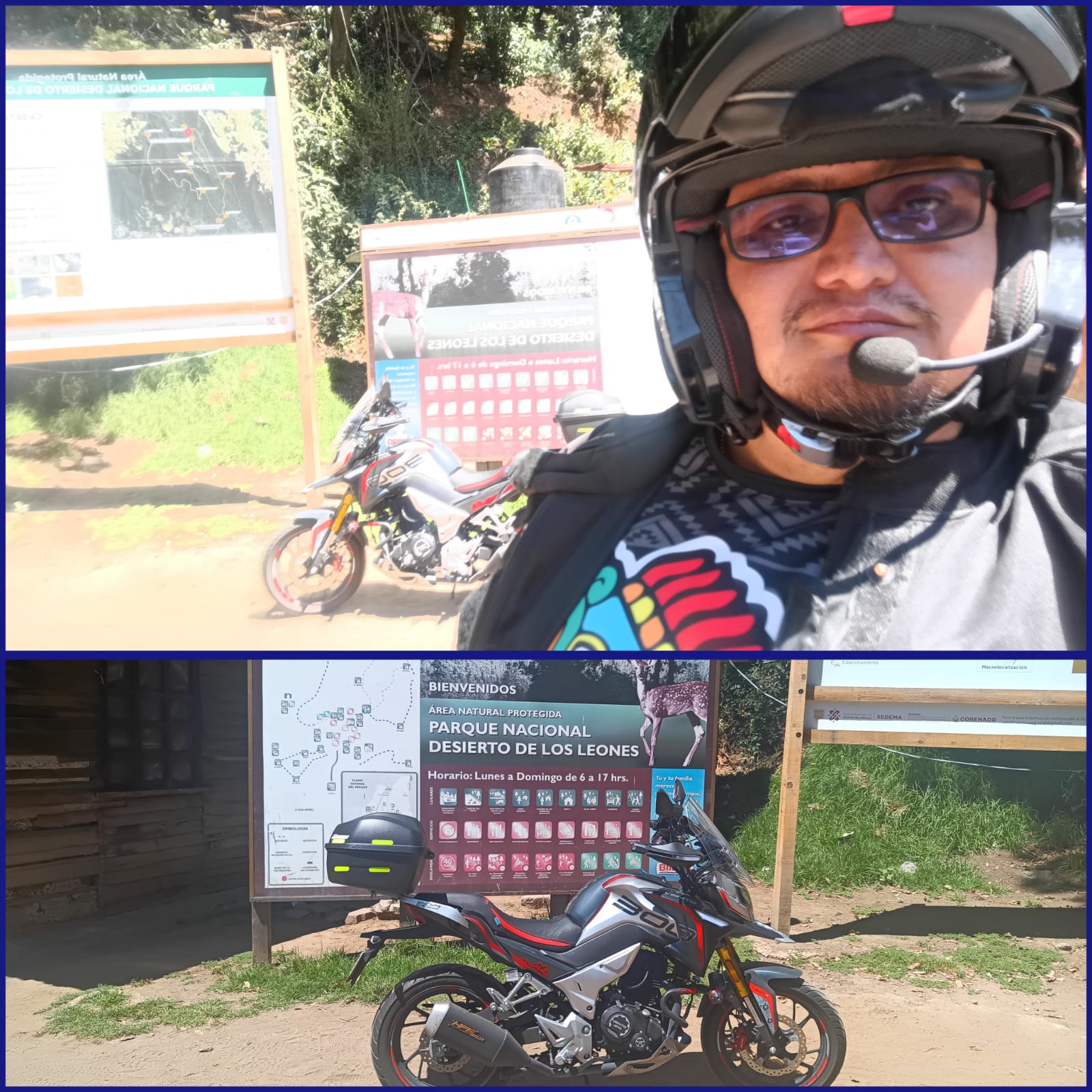 Desierto de los leones