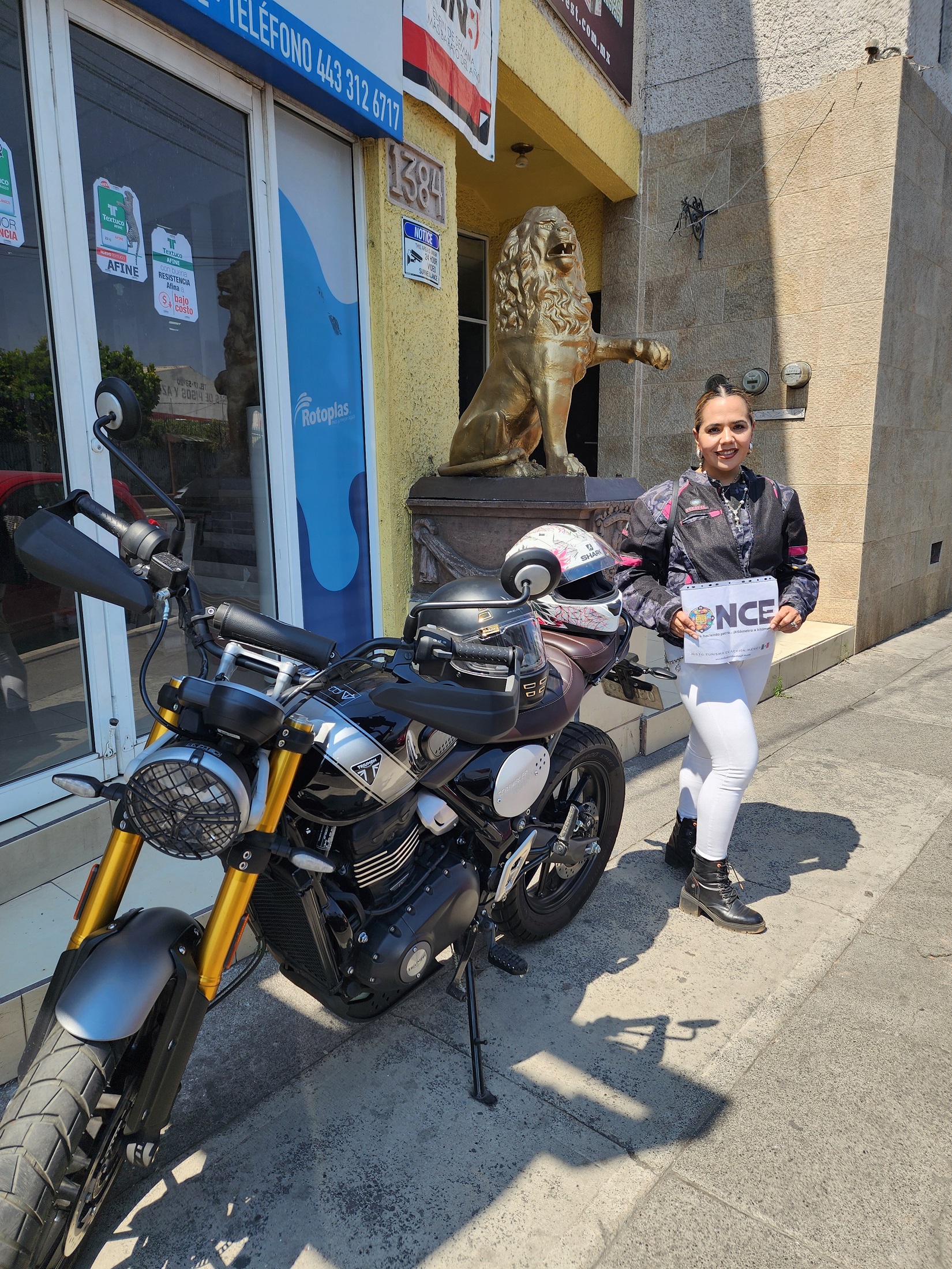 Animal con la letra inicial del nombre de mi esposo (Luis), en este caso, una estatua de un León