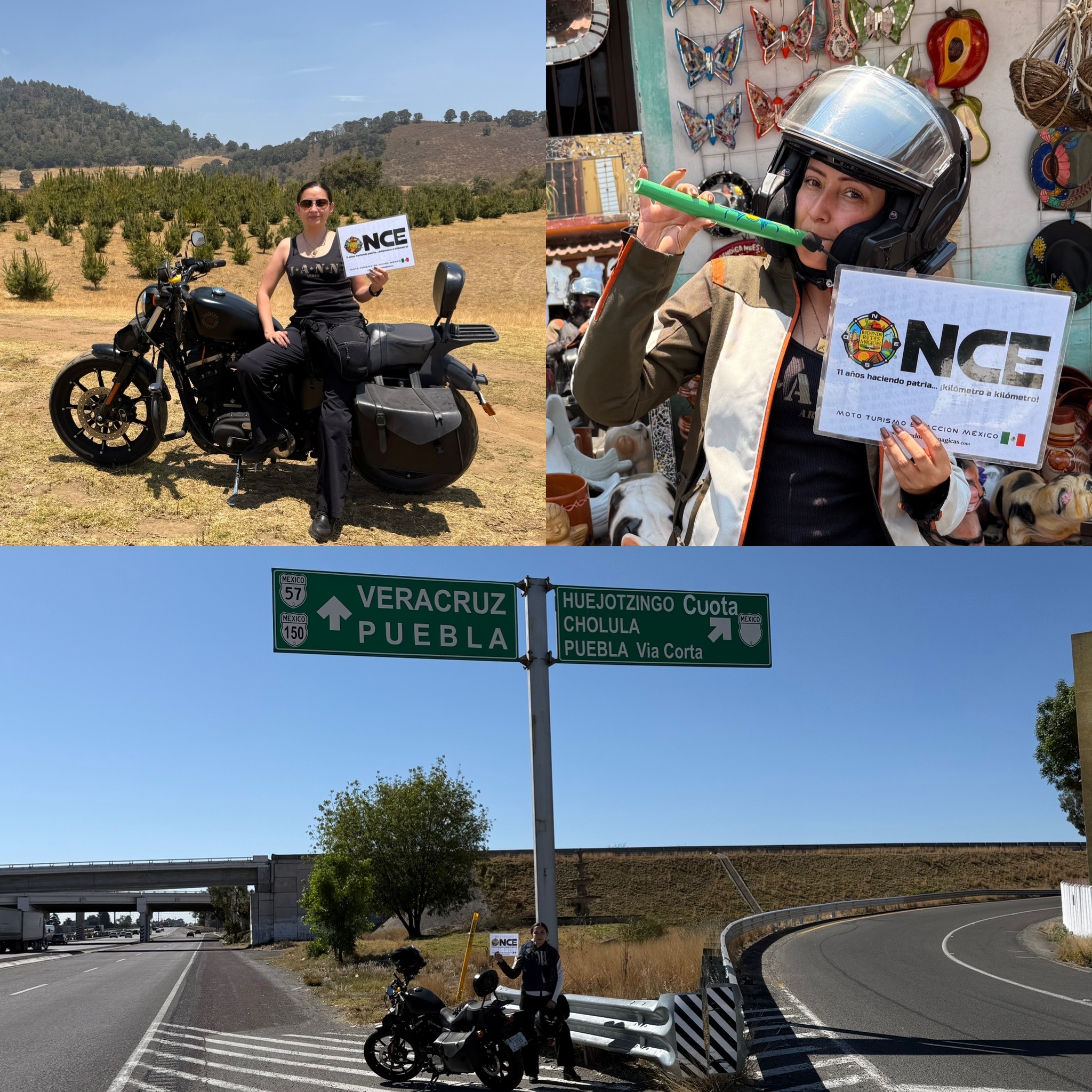 El color verde en mi camino