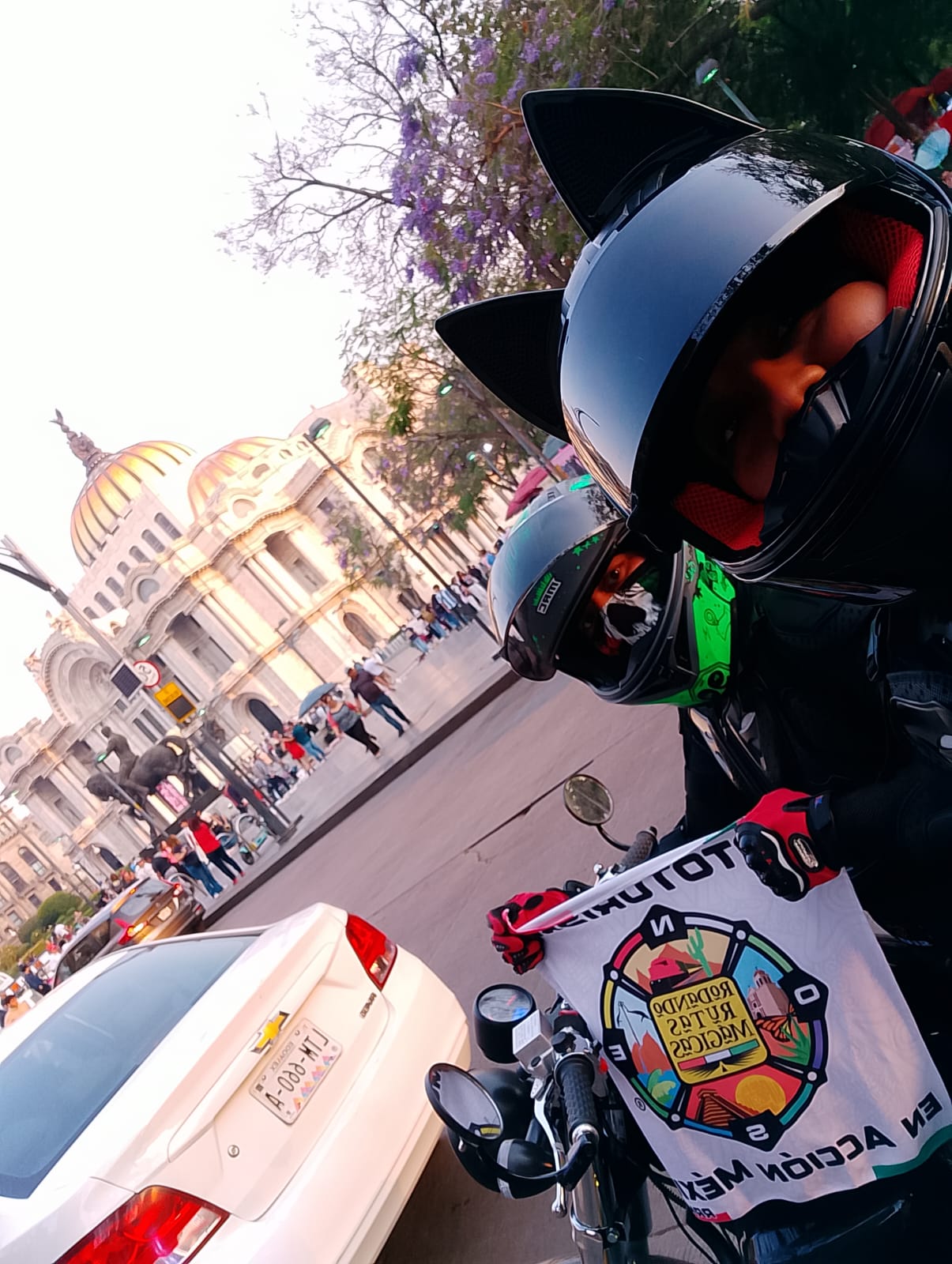 Palacio de Bellas artes