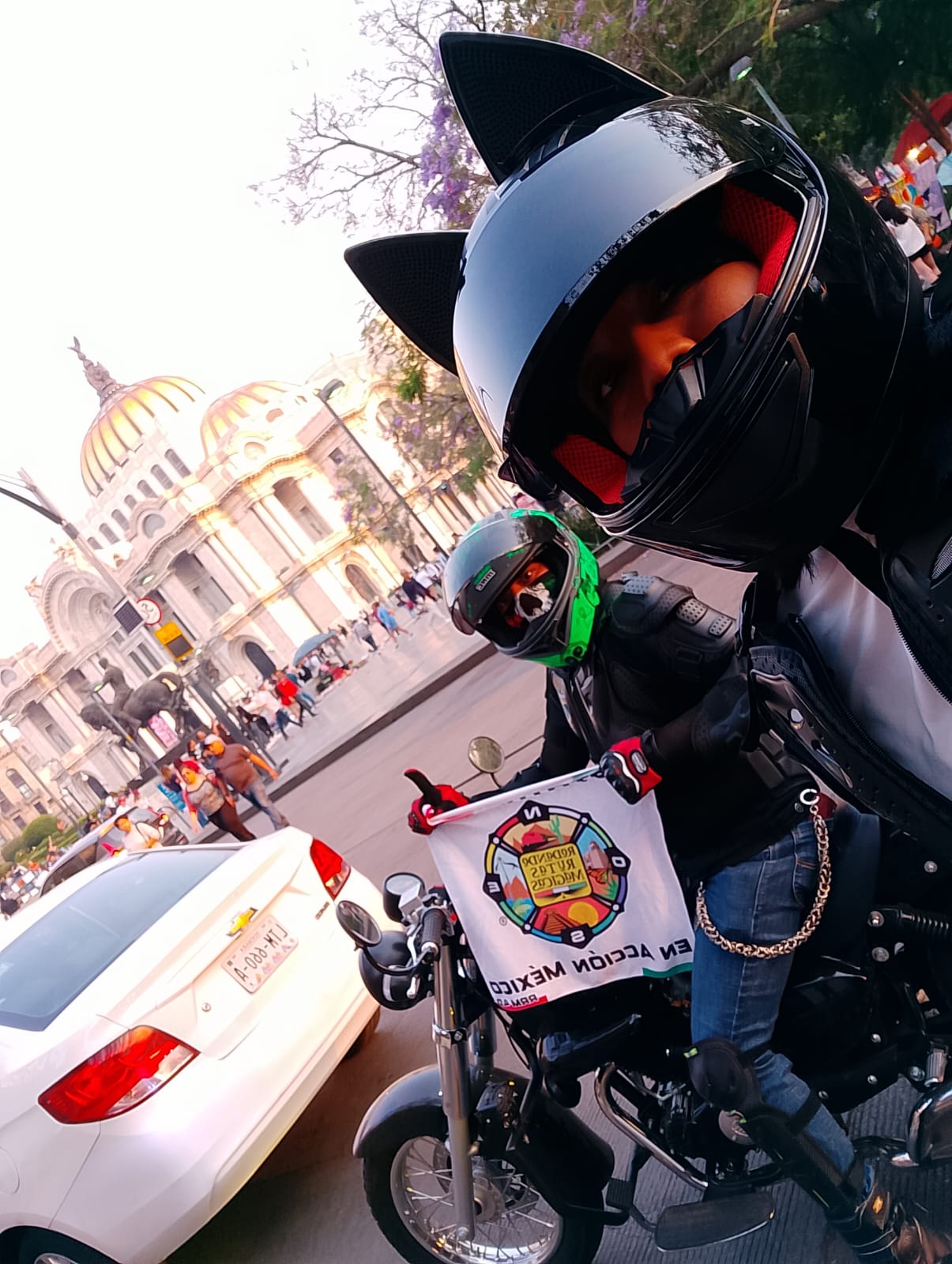 Palacio de bellas artes