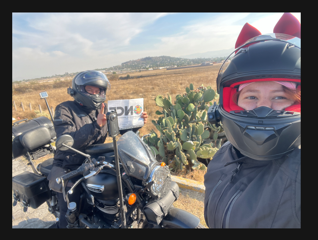 Nopales en carretera