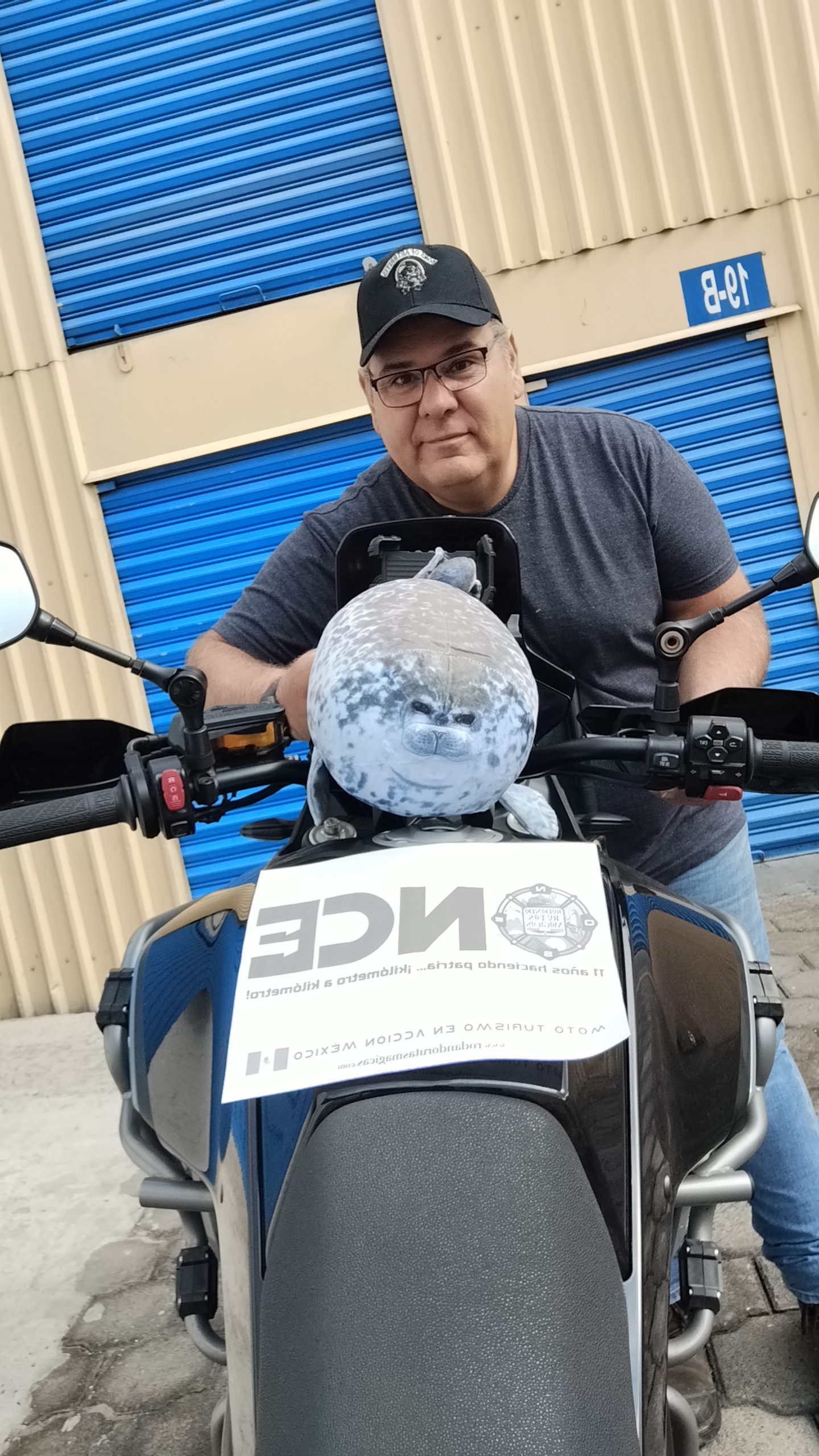 FOTO CON UNA FOCA , BASTA EN RUTA