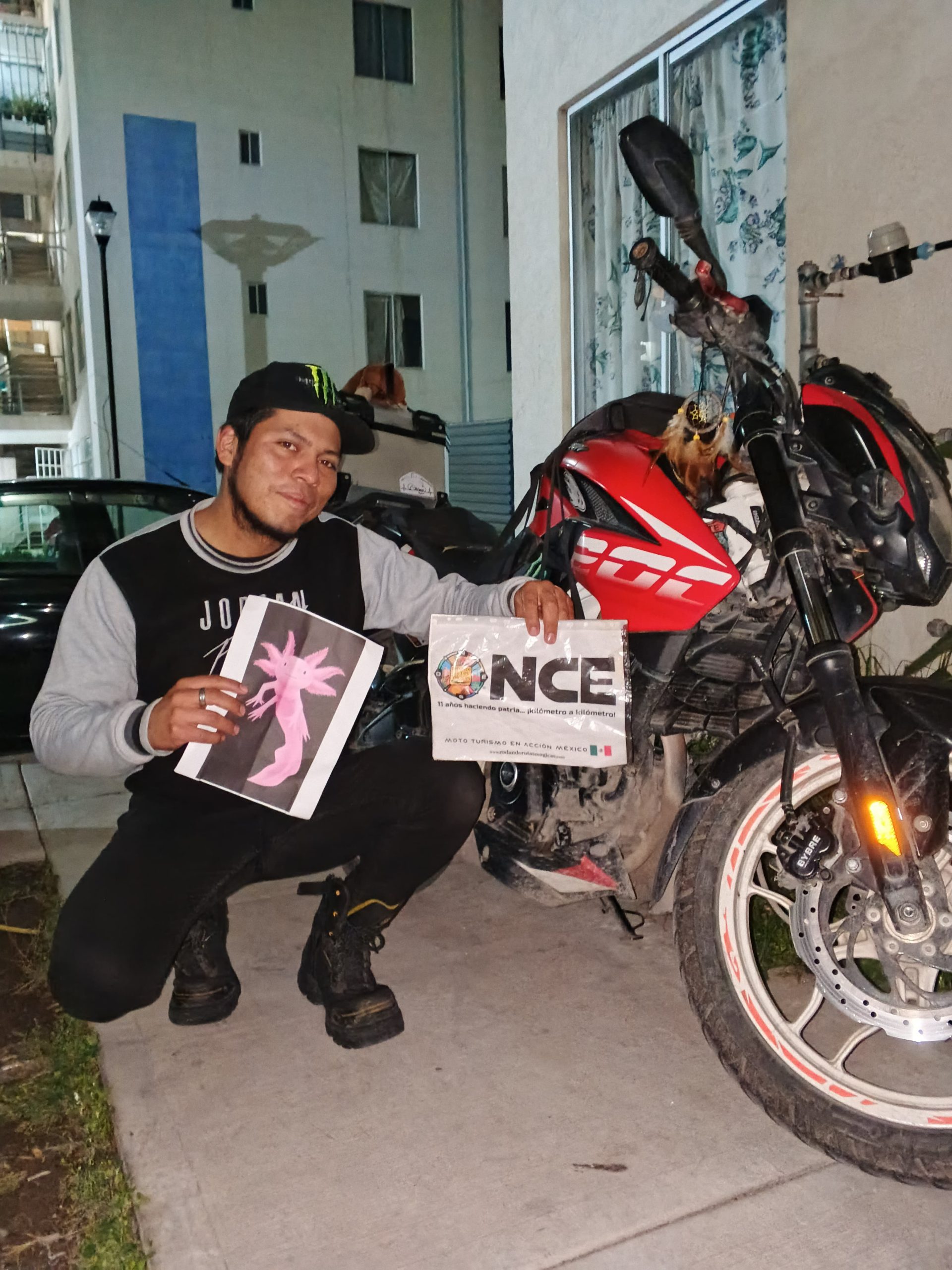 Animal con A. Ajolote