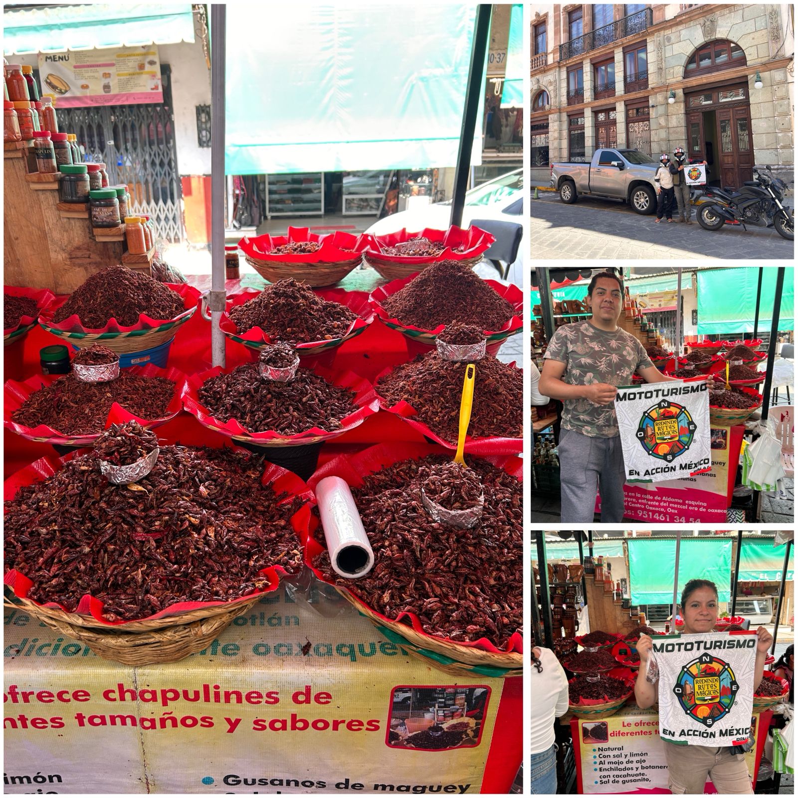 Chapulines