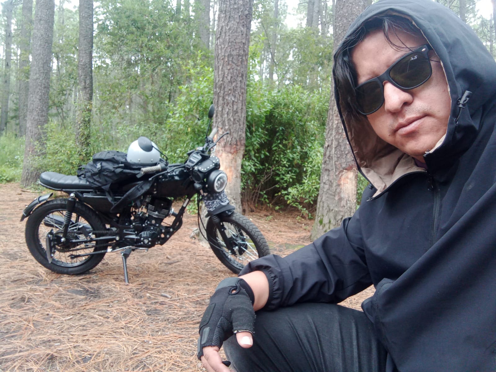 Like i rolling stone