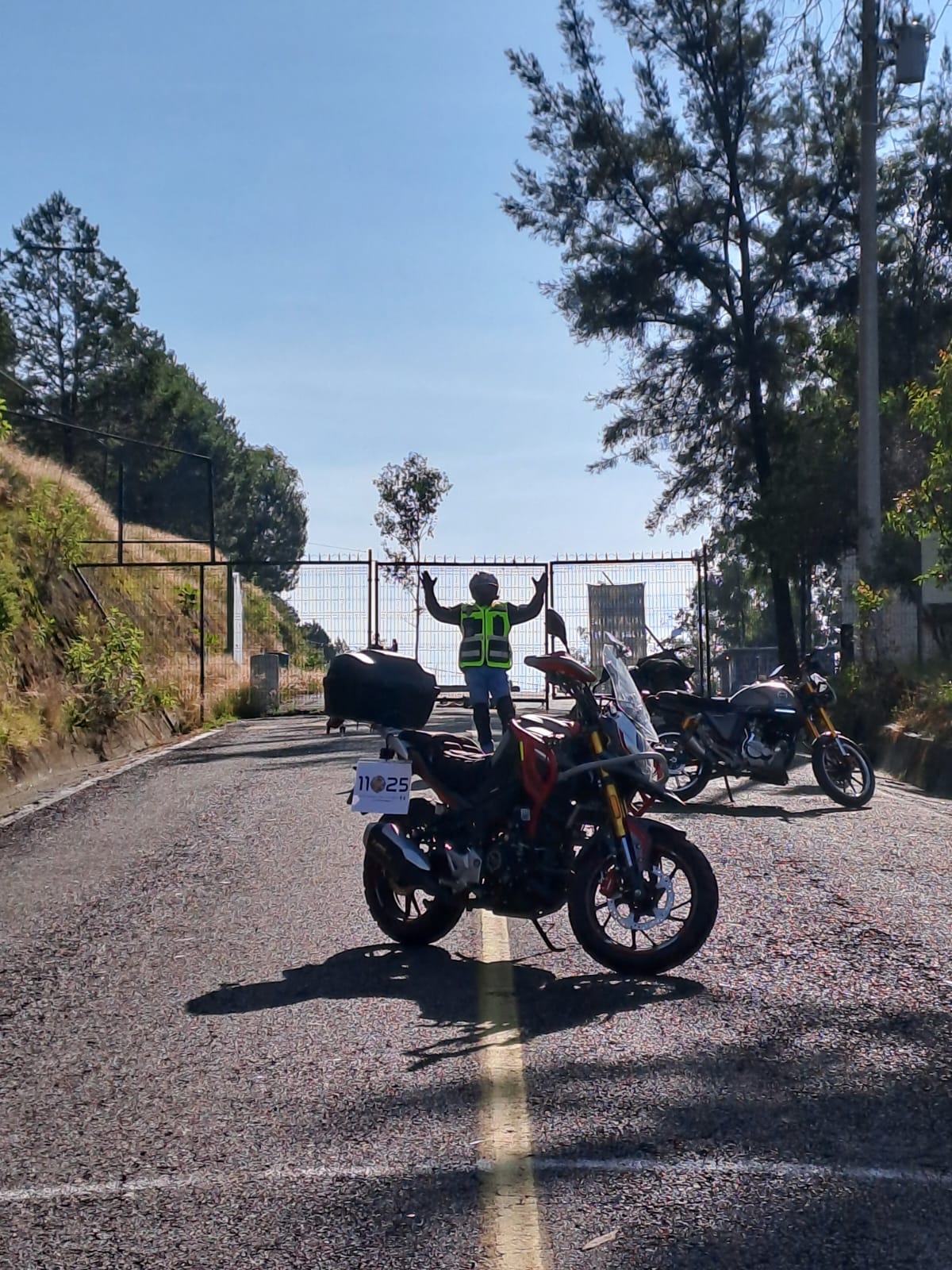 La perspectiva creativa