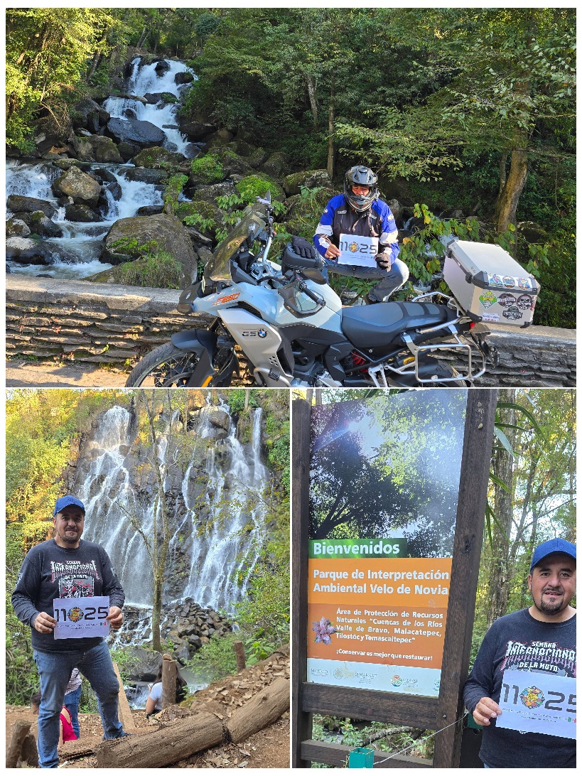 Misión #5 Cascada viva